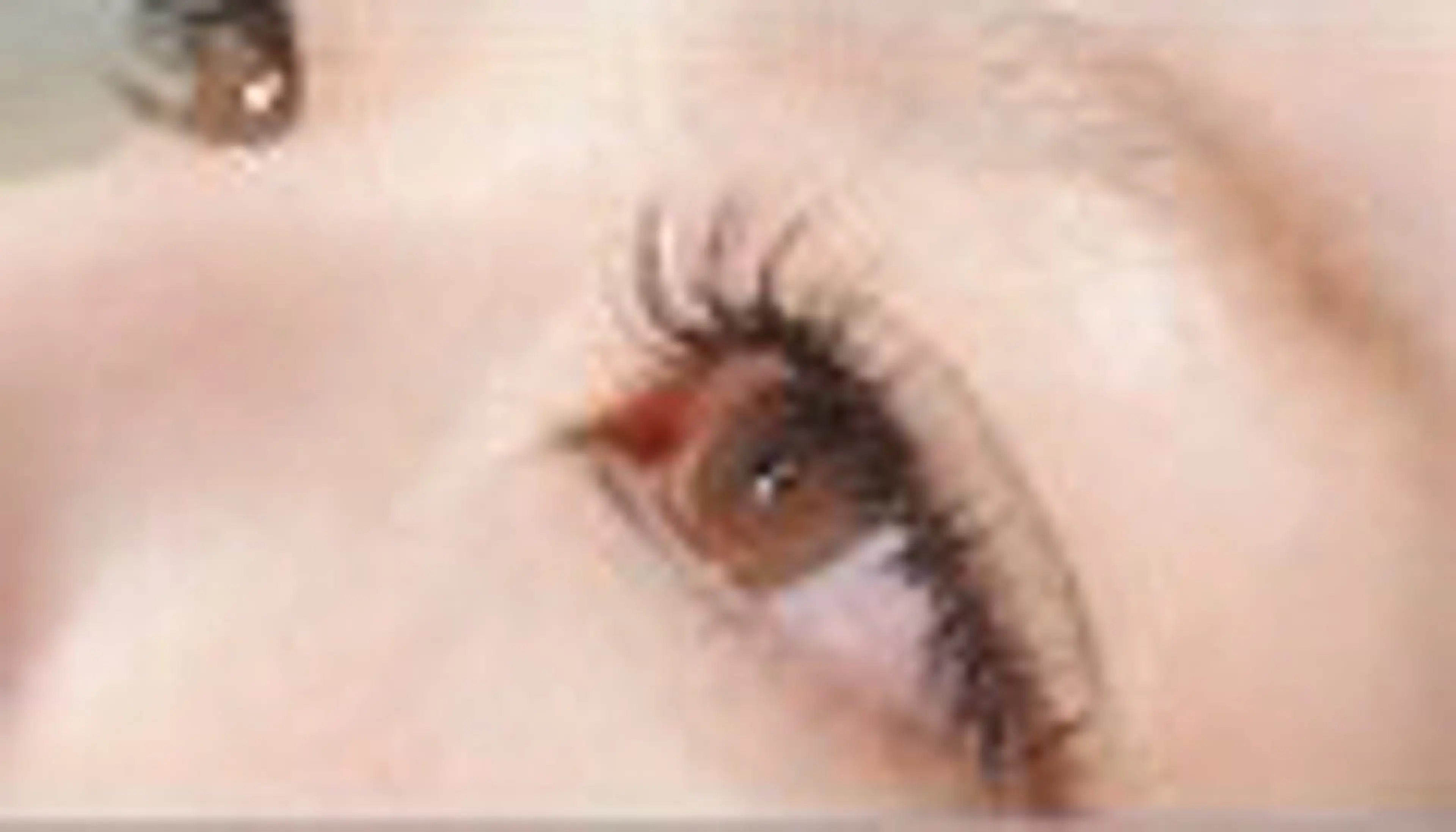 マツエク120本✨️の写真