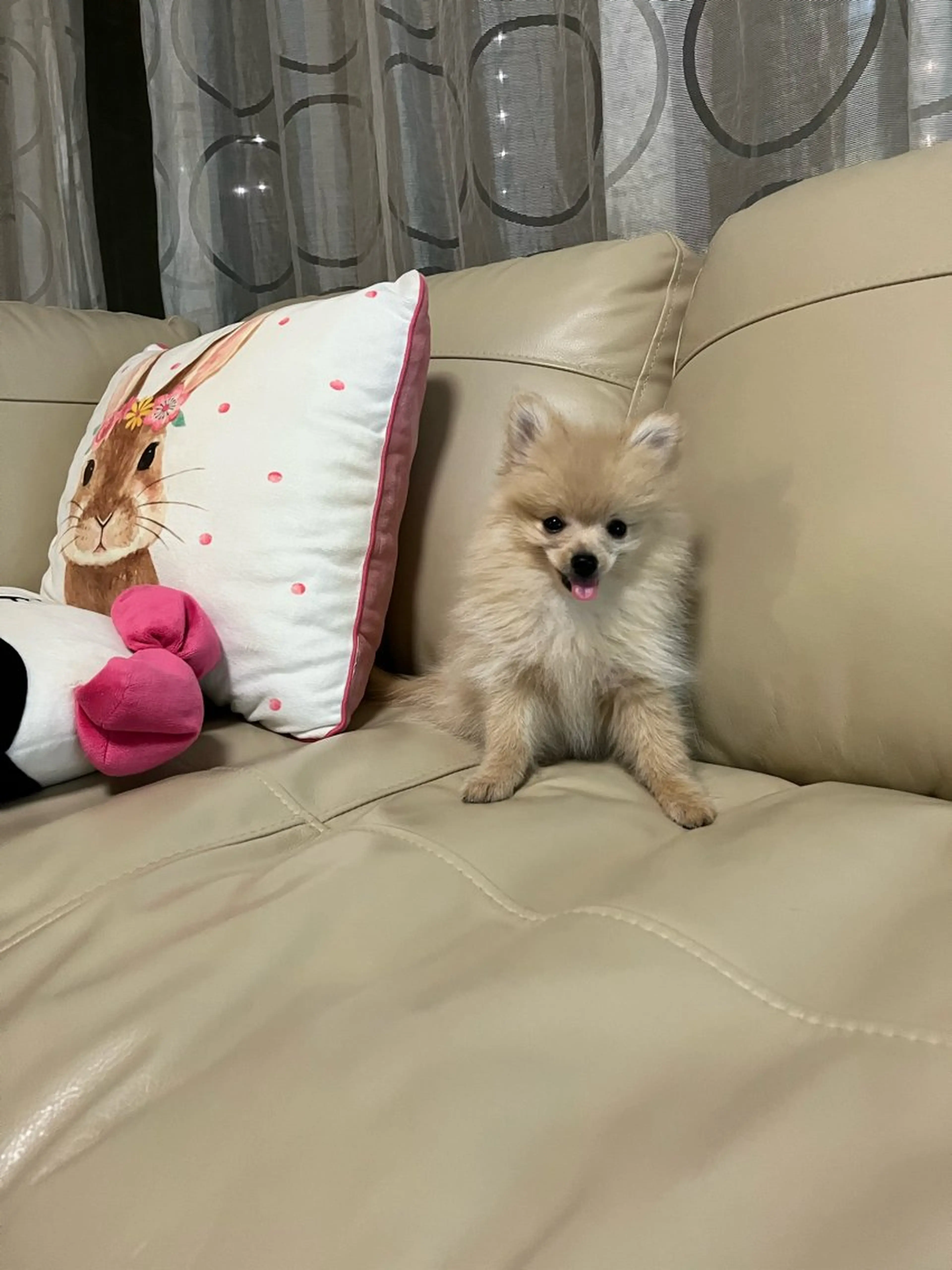 Sona hair & eyelash salon所属・紙屋 隼人のヘアスタイル