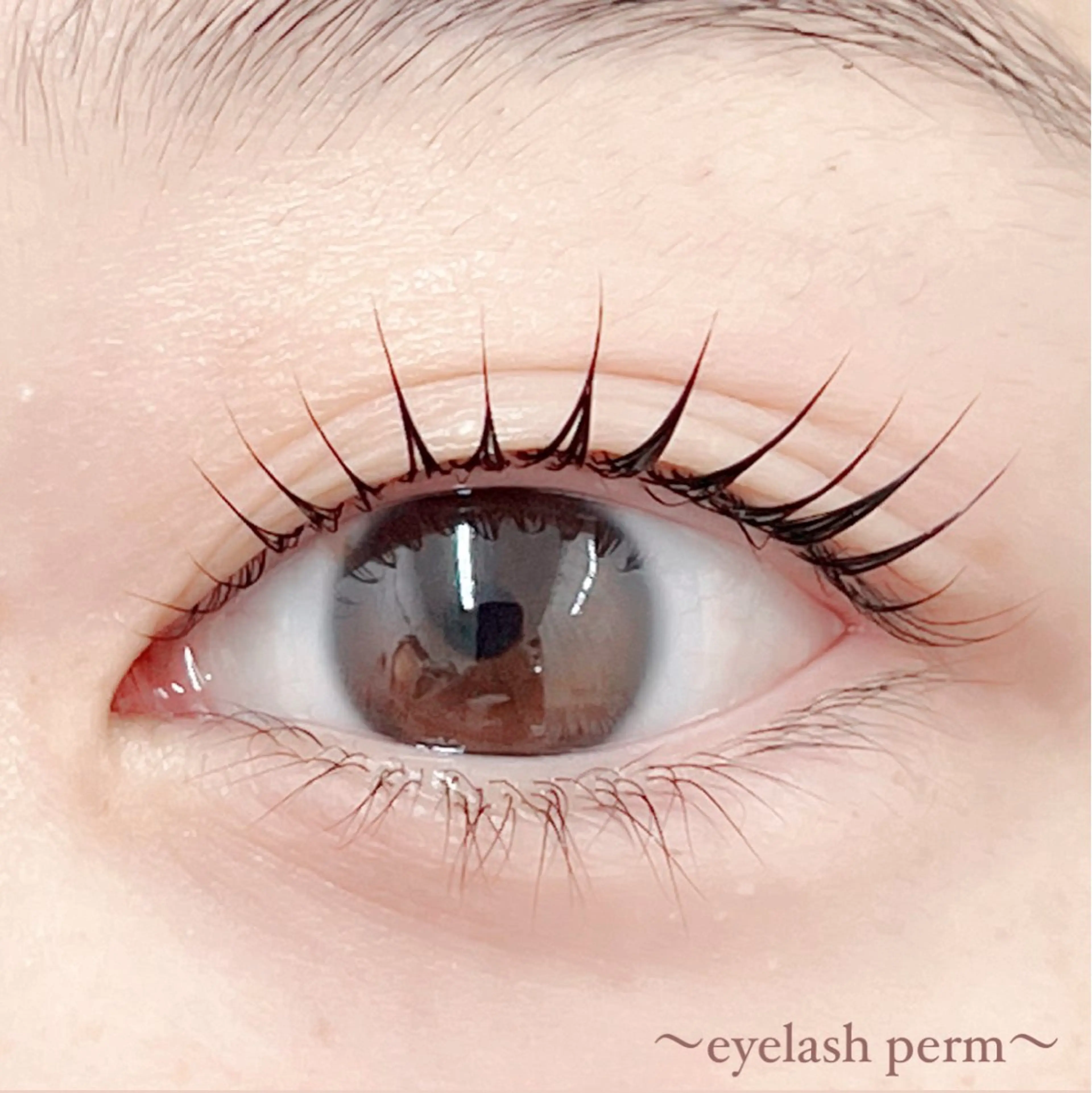 マツエク・マツパ 田村 莉子のマツエク・マツパデザイン