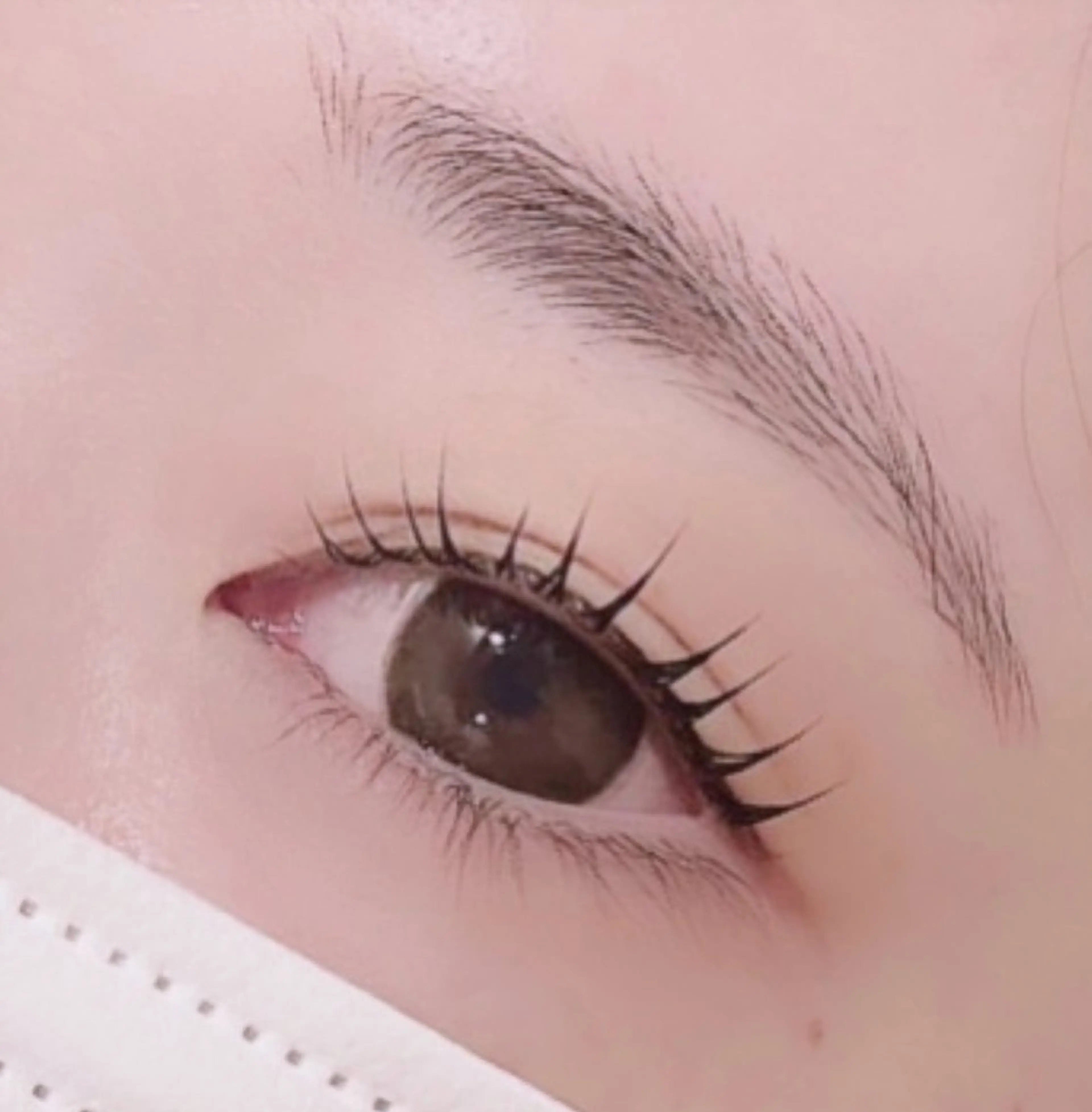 ✨️パリジェンヌ上下✨️束間コーティング付き👀🩵の写真