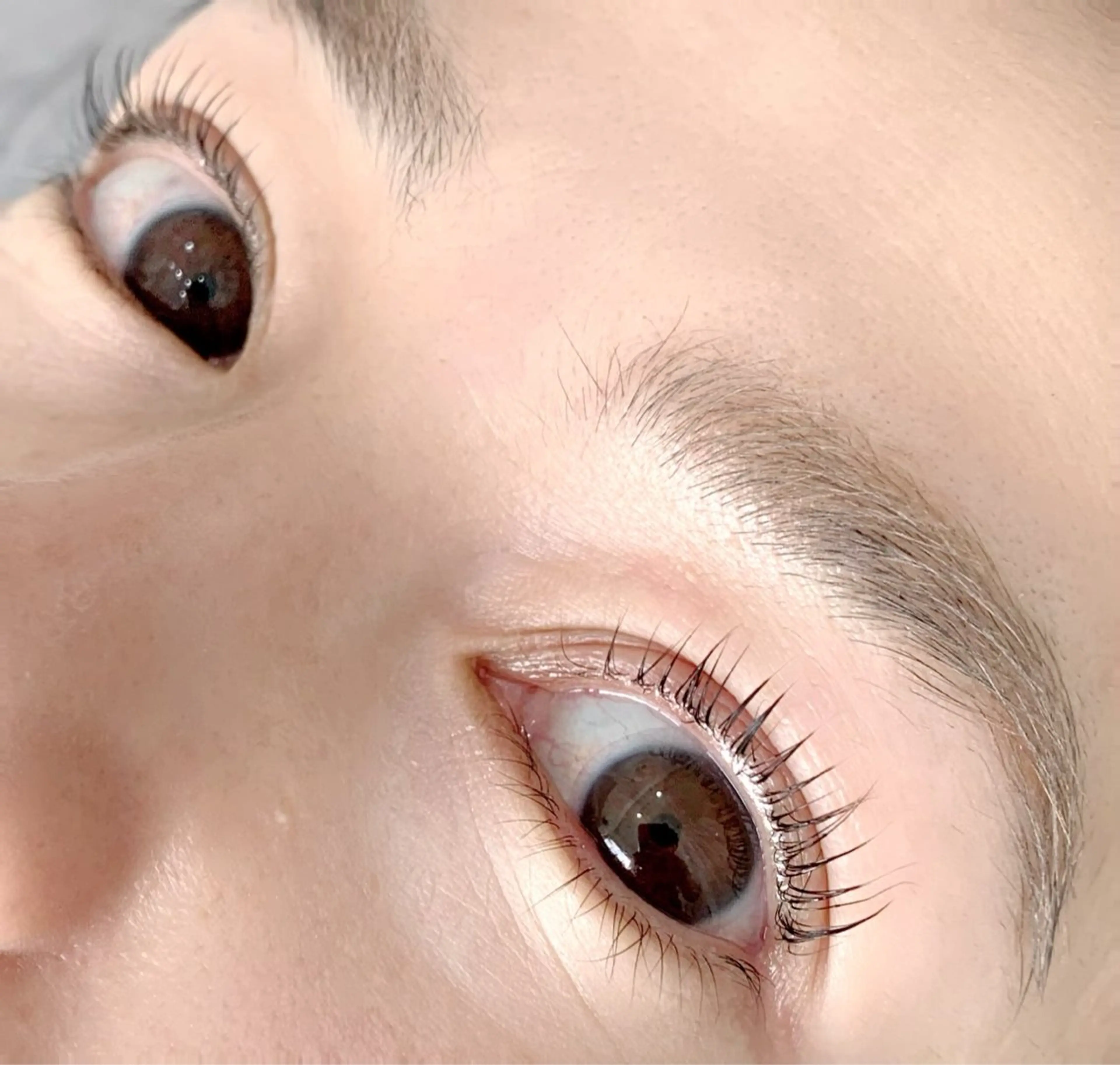 ✨【当日ご新規さま限定クーポン】🌵✨パリジェンヌorまつげパーマの写真