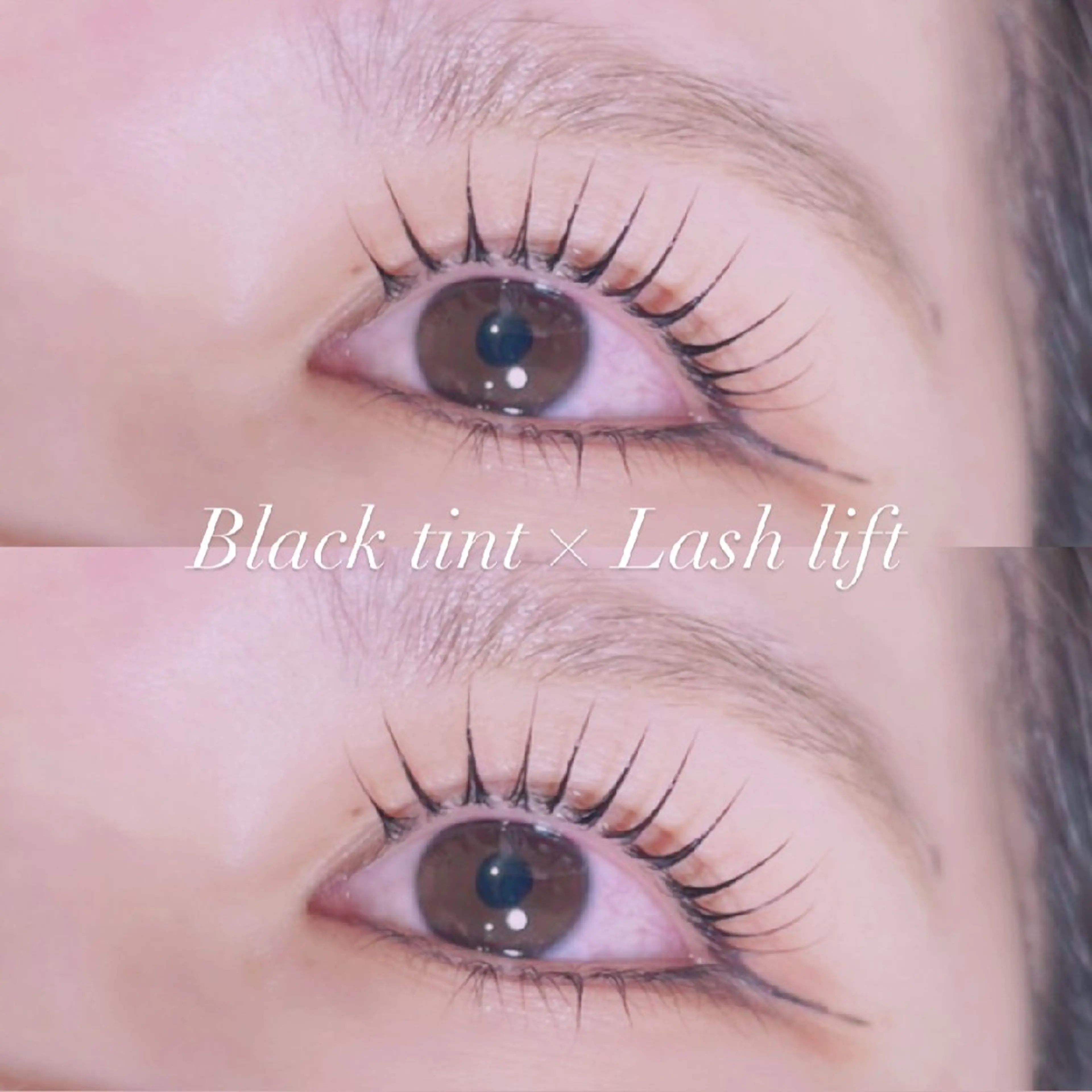 ︎︎🤍平日限定🤍🇰🇷韓国流行りマスカラパーマ🇰🇷パリジェンヌor似合わせラッシュリフト(+￥400)CT付✨の写真