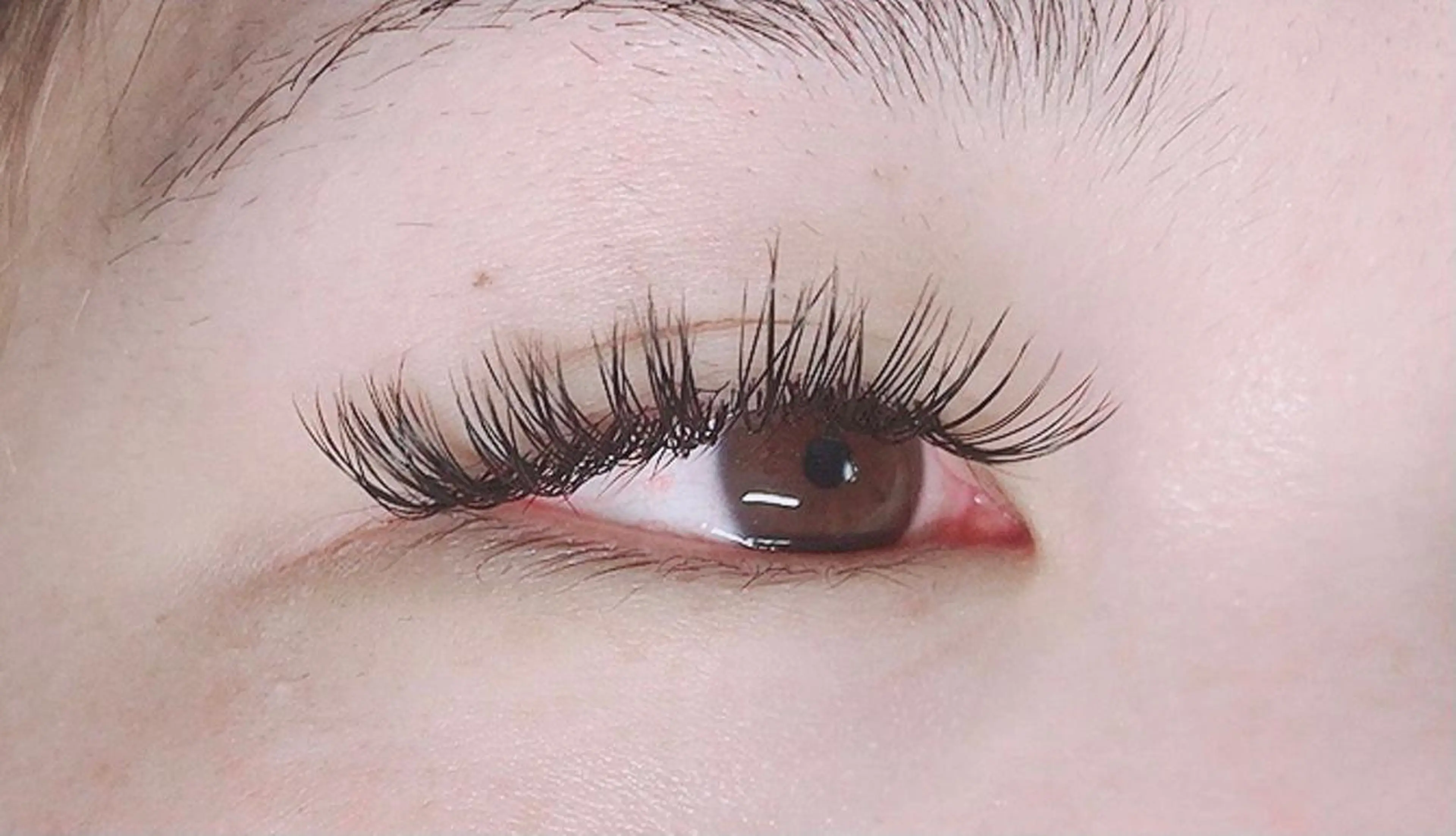 マツエク・マツパ キュート Dカール アイラッシュサロンfleur🍀所属・🍀fleur🍀 束感/ワンホン/杉浦のマツエク・マツパデザイン