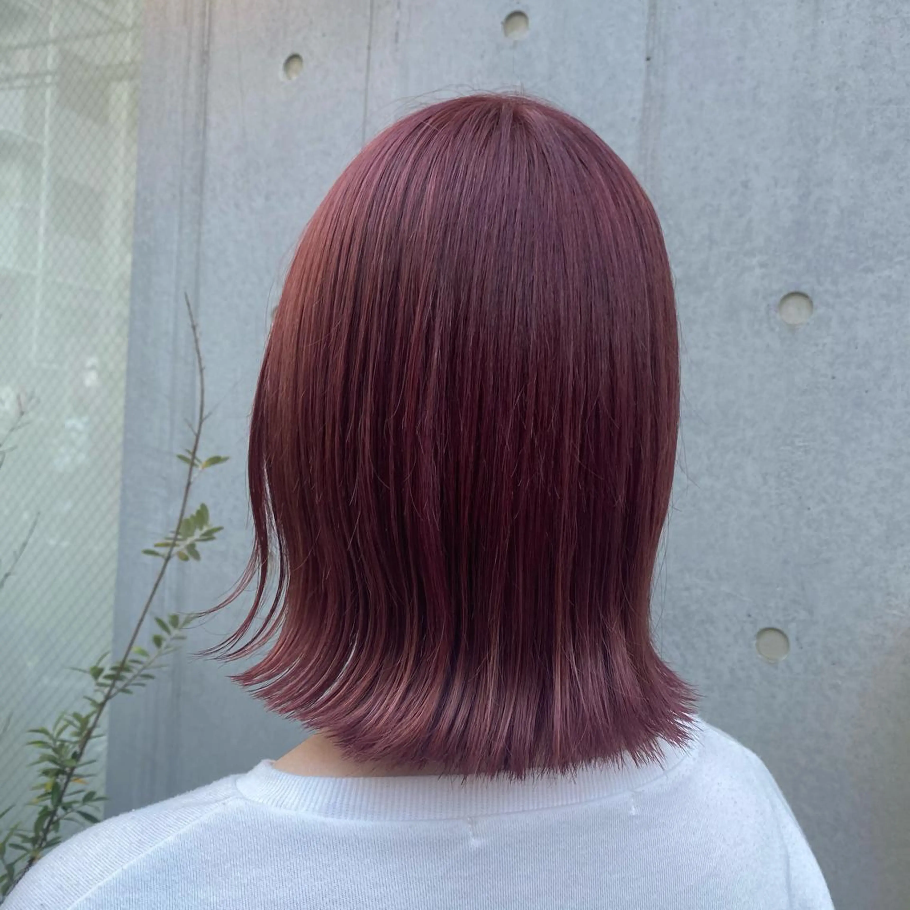 ミディアム カラー 🪭risa 暖色/レイヤー🪭のヘアスタイル