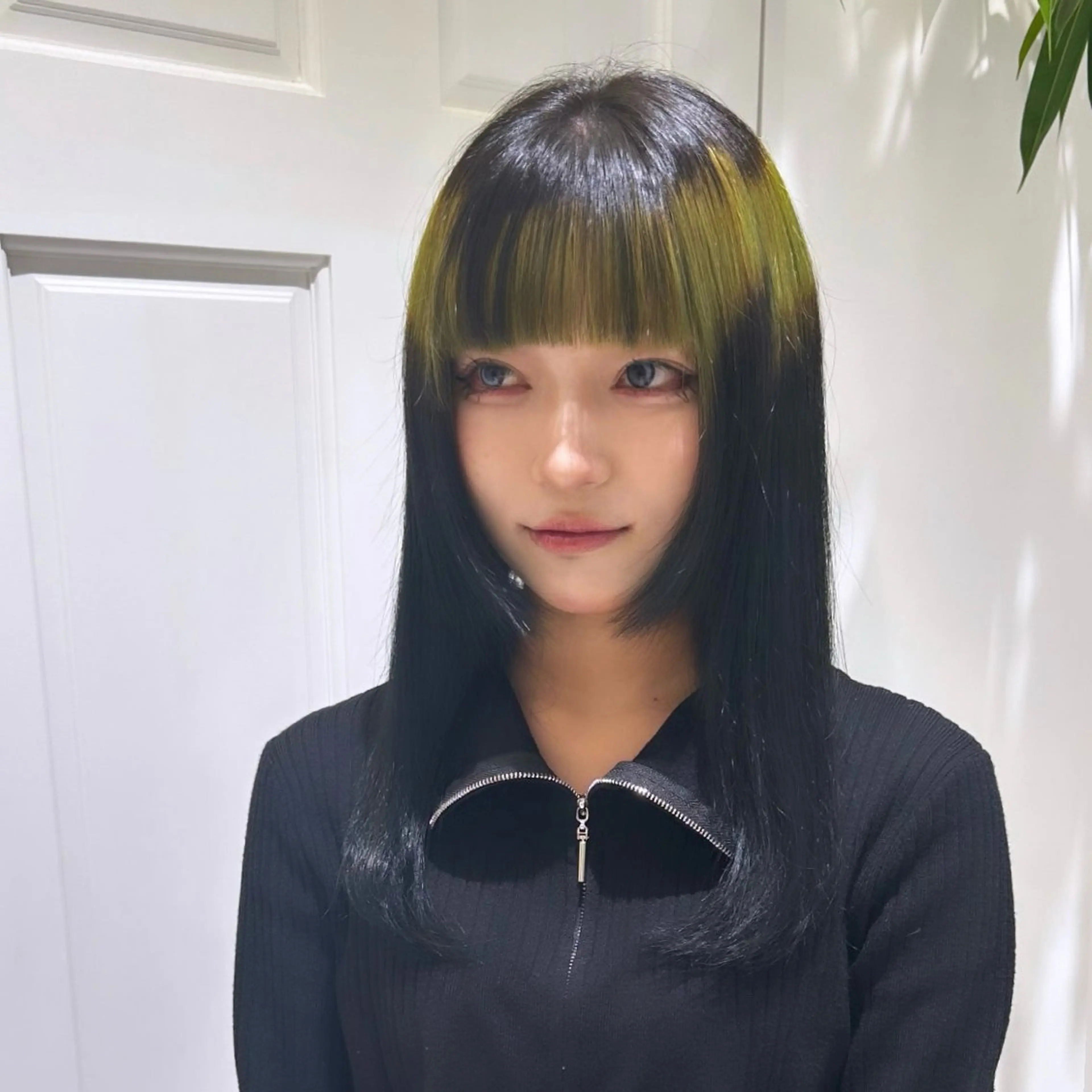 デザインカラー🌈の写真