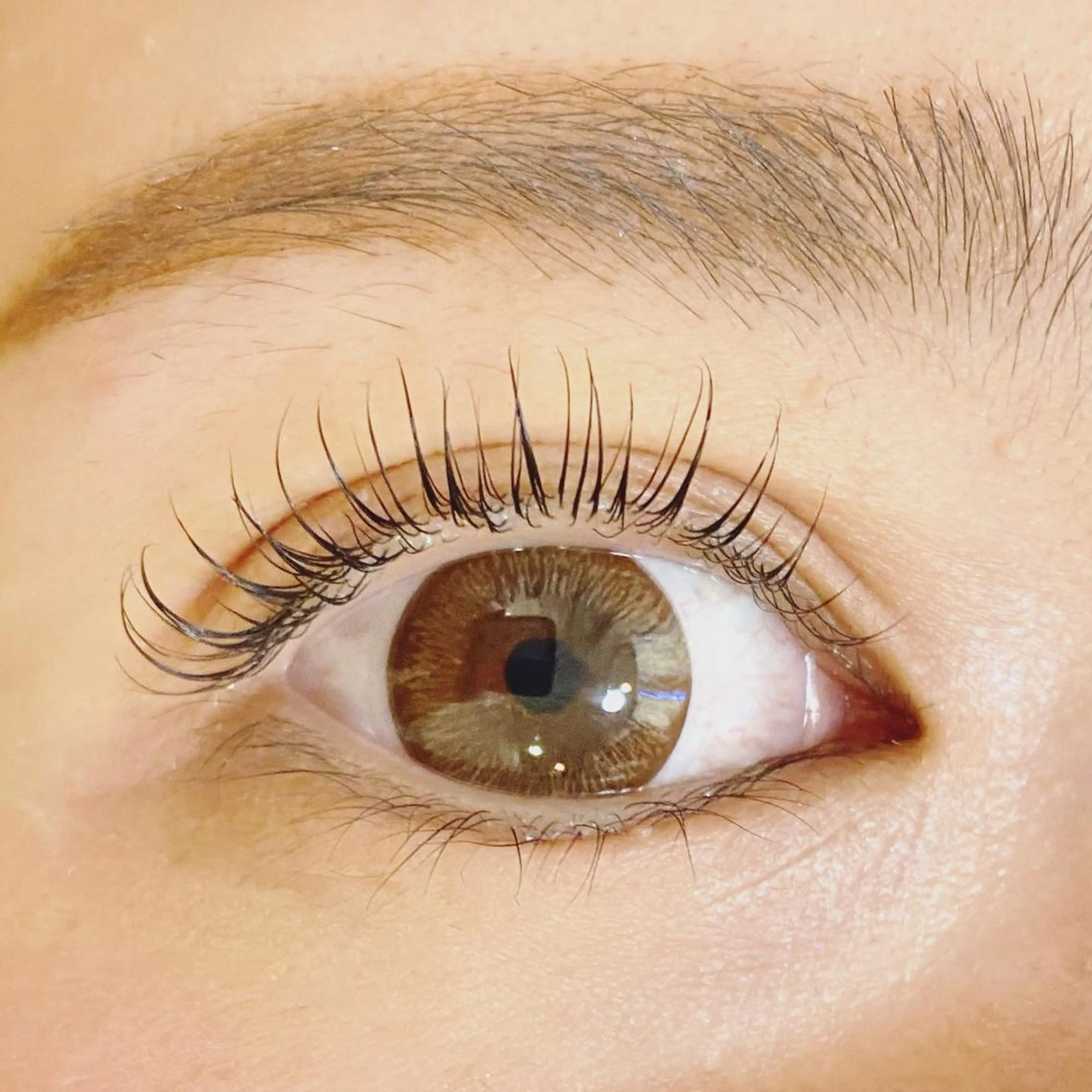 次世代まつ毛パーマ ラッシュリフト(上)トリートメント付の写真