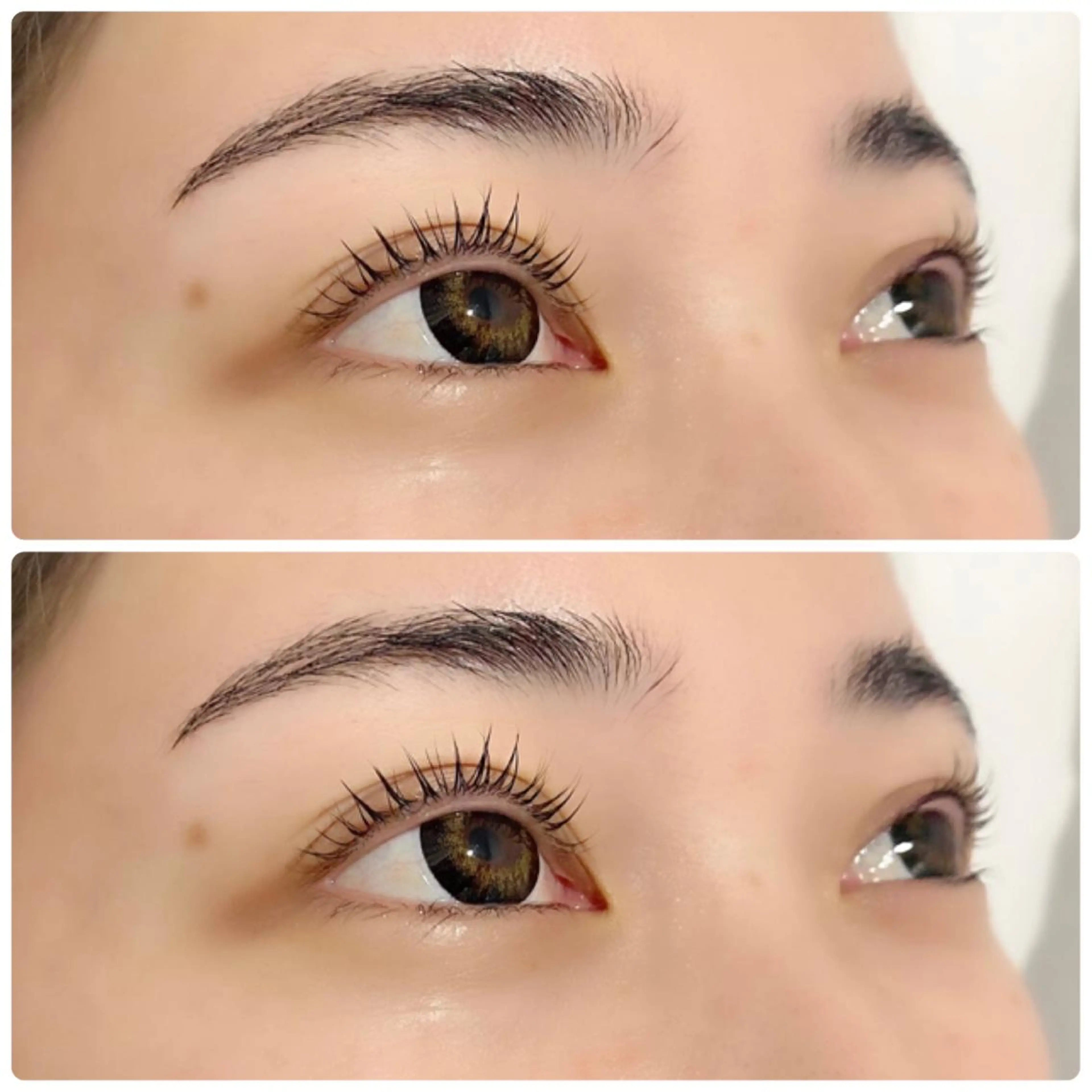 マツエク・マツパ Dityca...栄店所属・Takeyama yukinaのマツエク・マツパデザイン