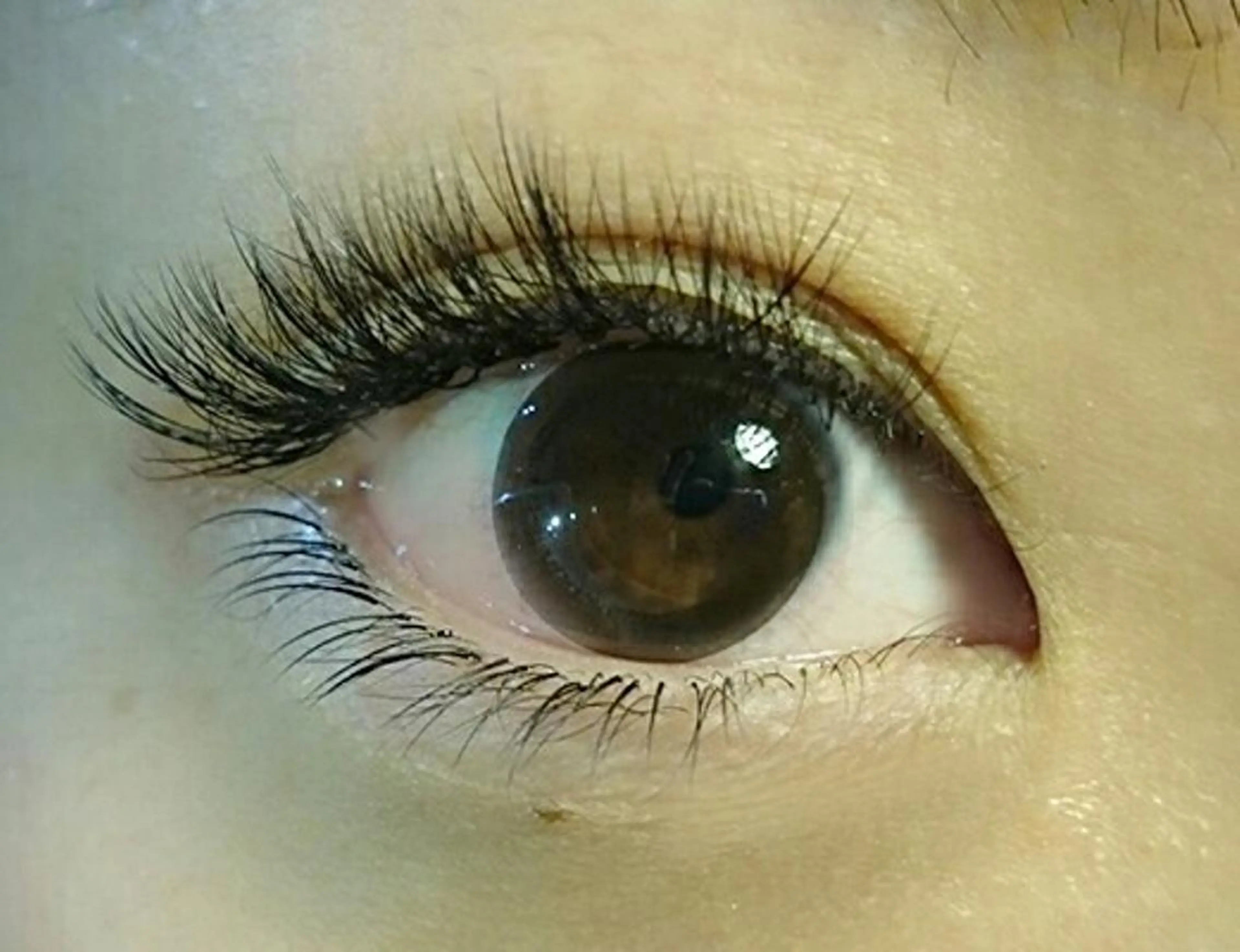 マツエク・マツパ ボリュームラッシュ Jelly Beans所属・小沼 絵菜のマツエク・マツパデザイン