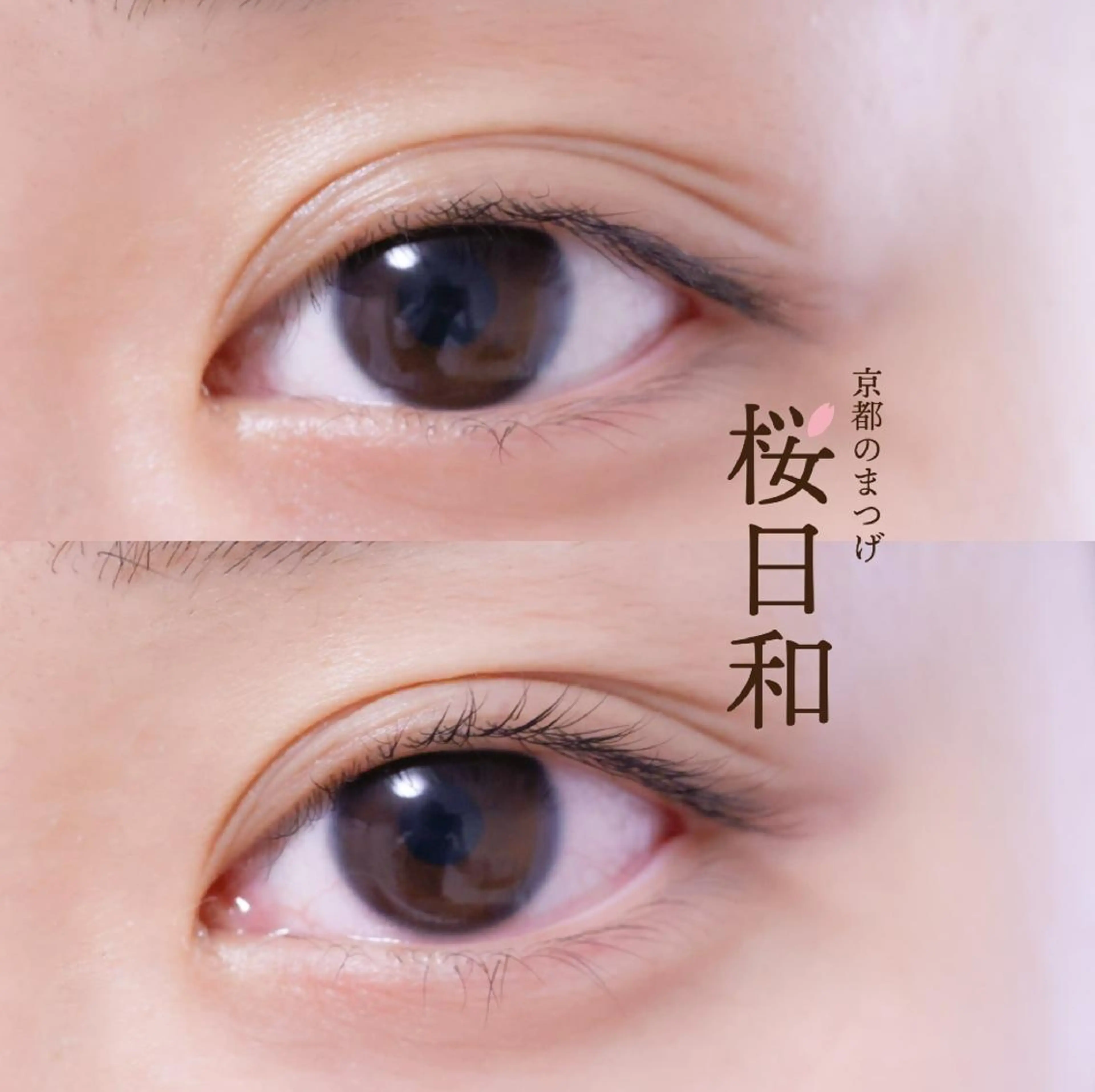マツエク・マツパ カラーマツエク フラットラッシュ ナチュラル パリジェンヌラッシュリフト まつげパーマ マツパ 京都のまつげ桜日和 小島美桜のマツエク・マツパデザイン