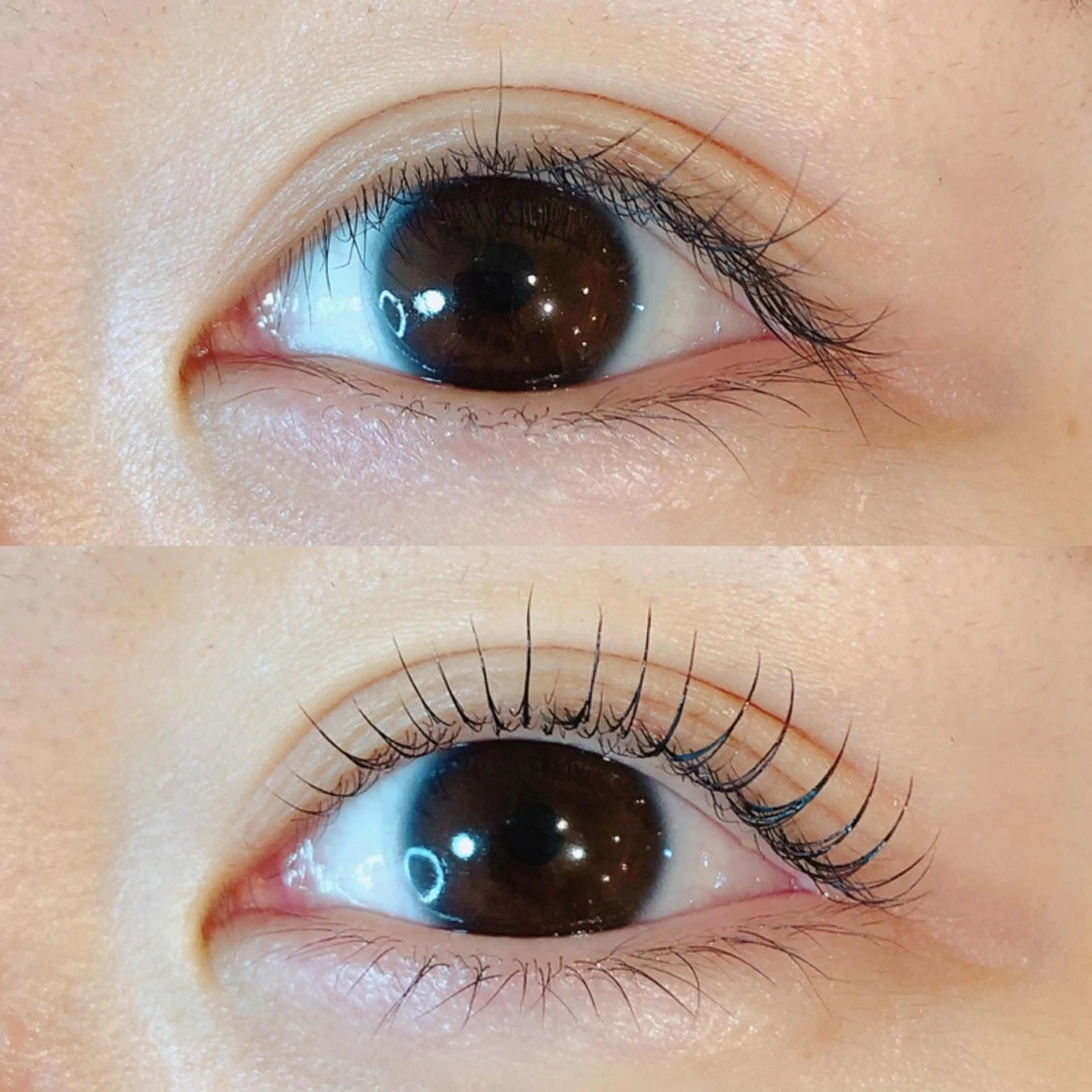 マツエク・マツパ なかむら 🪡のマツエク・マツパデザイン