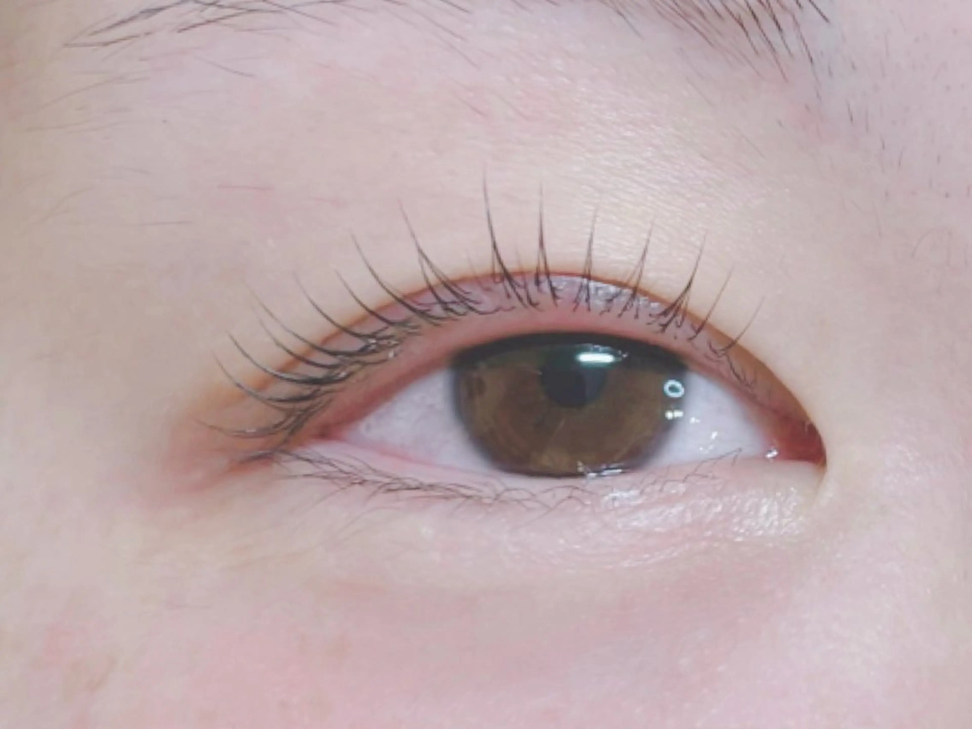 マツエク・マツパ 付け放題 バインドロック 束感まつ毛 フラットラッシュ パリジェンヌラッシュリフト マツパ オーロラ所属・AURORA RINAのマツエク・マツパデザイン