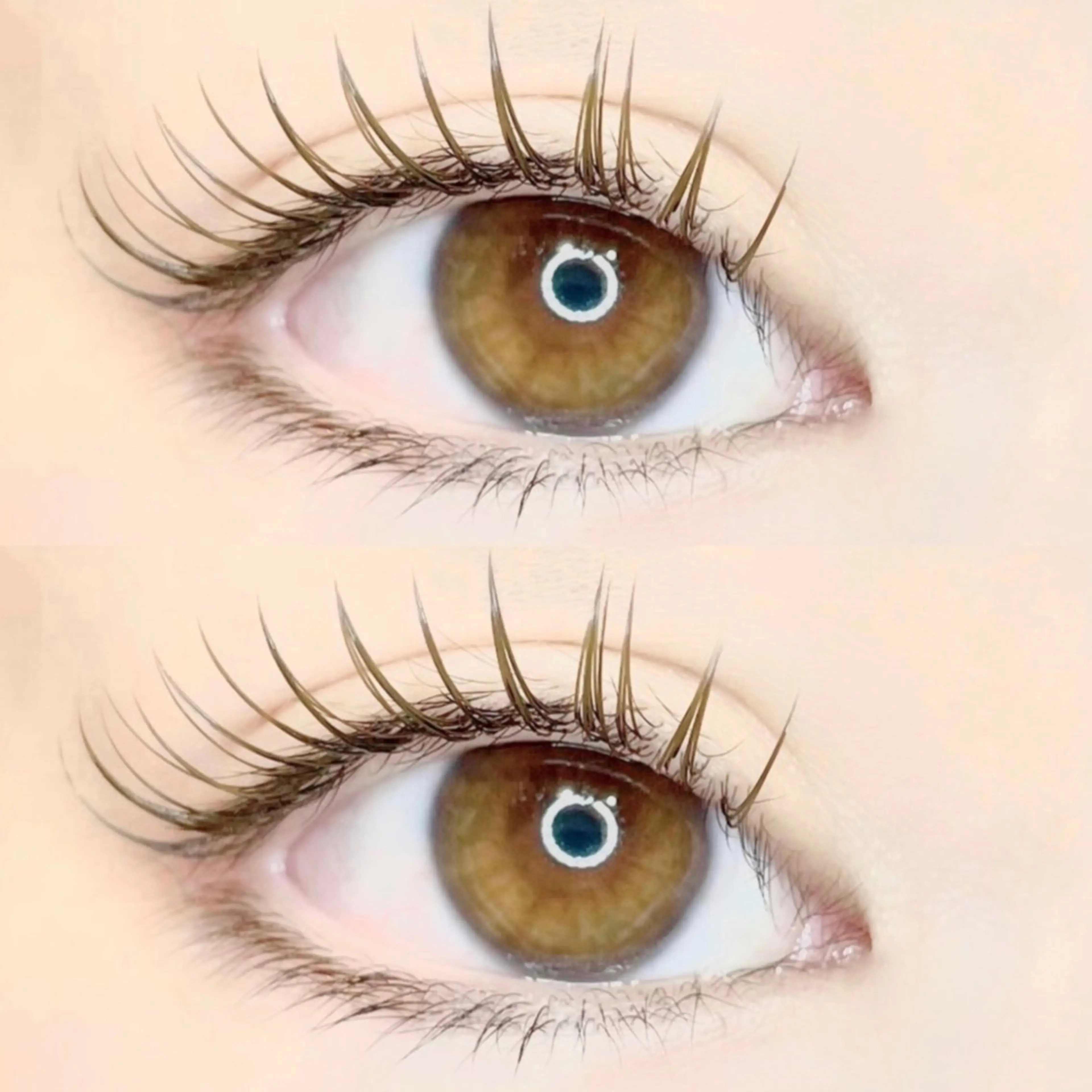 【オフあり】フラットラッシュ120本まで付け放題🌟※お時間内であれば追加可能。120本以上希望の方はコメント必須の写真