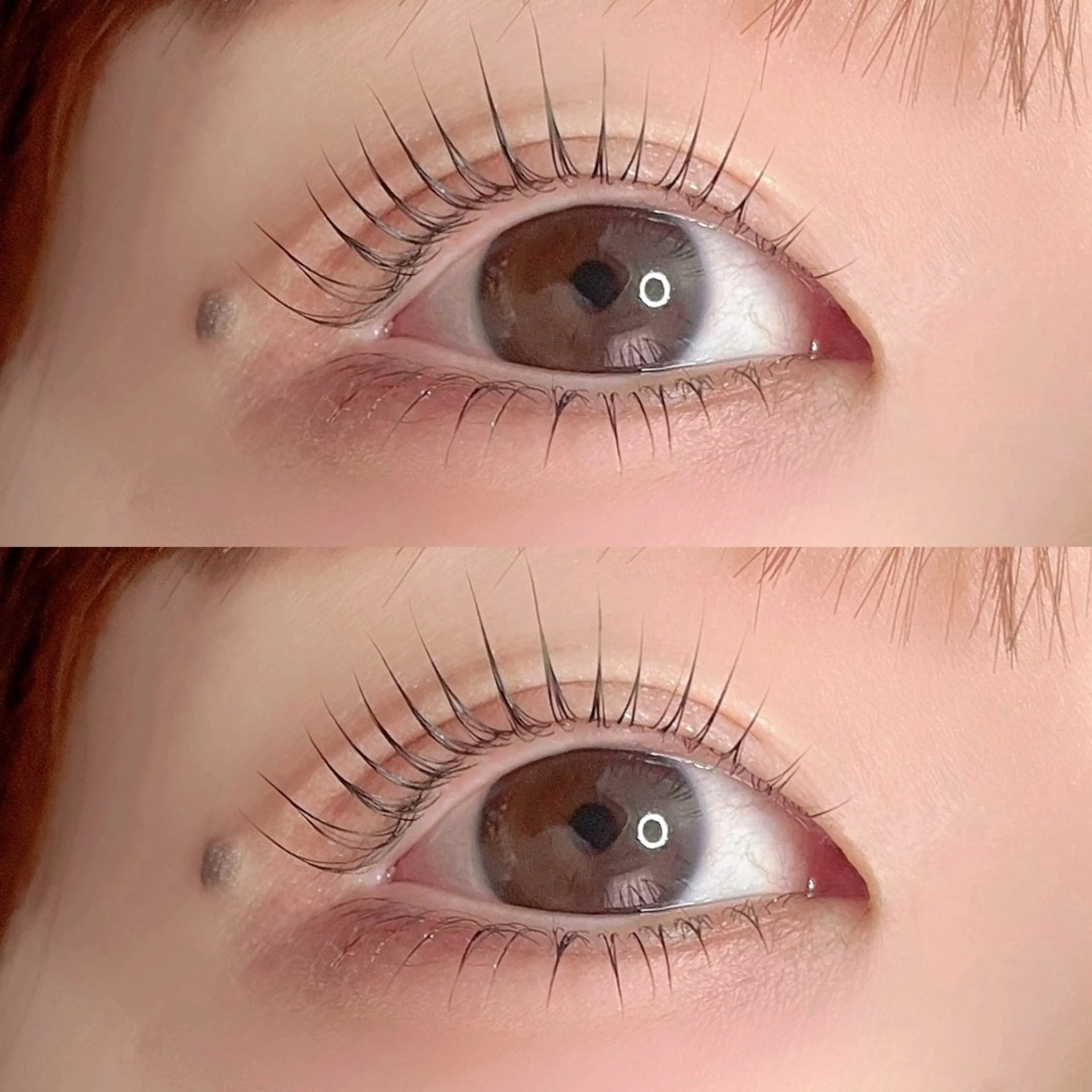 【大人気ぱっちりeye👀🩵】パリジェンヌ+下まつげパーマ9000円の写真