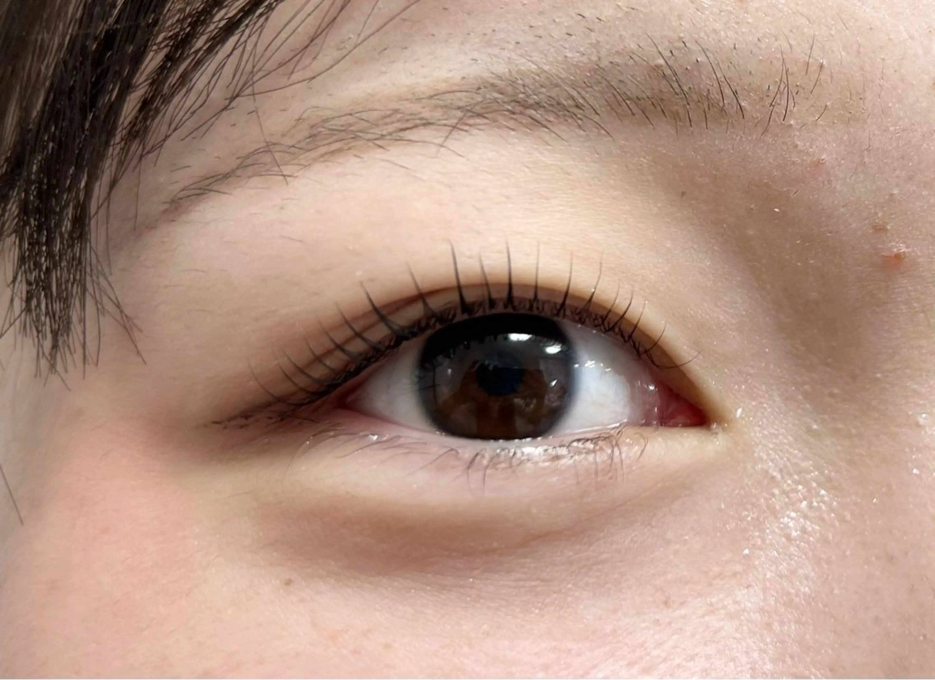 マツエク・マツパ エクラドゥボヌール所属・エクラドゥボヌール sakuraiのマツエク・マツパデザイン