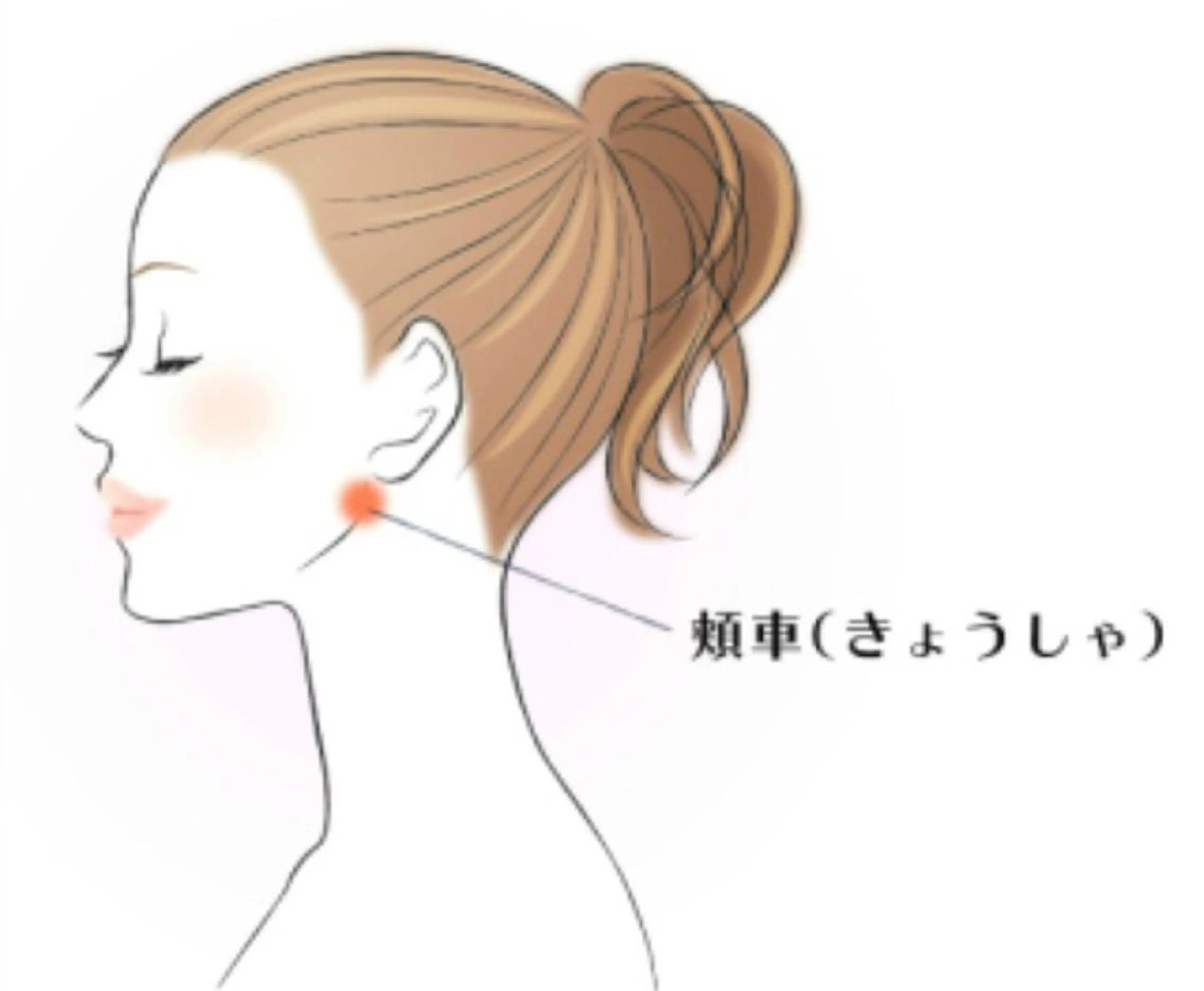 ロング カラー パーマ ヘアアレンジ メンズ キッズ ネイル マツエク・マツパ 小顔カット ‍痩身＆ボディ 結果出し🌟丹野のエステ・リラクイメージ