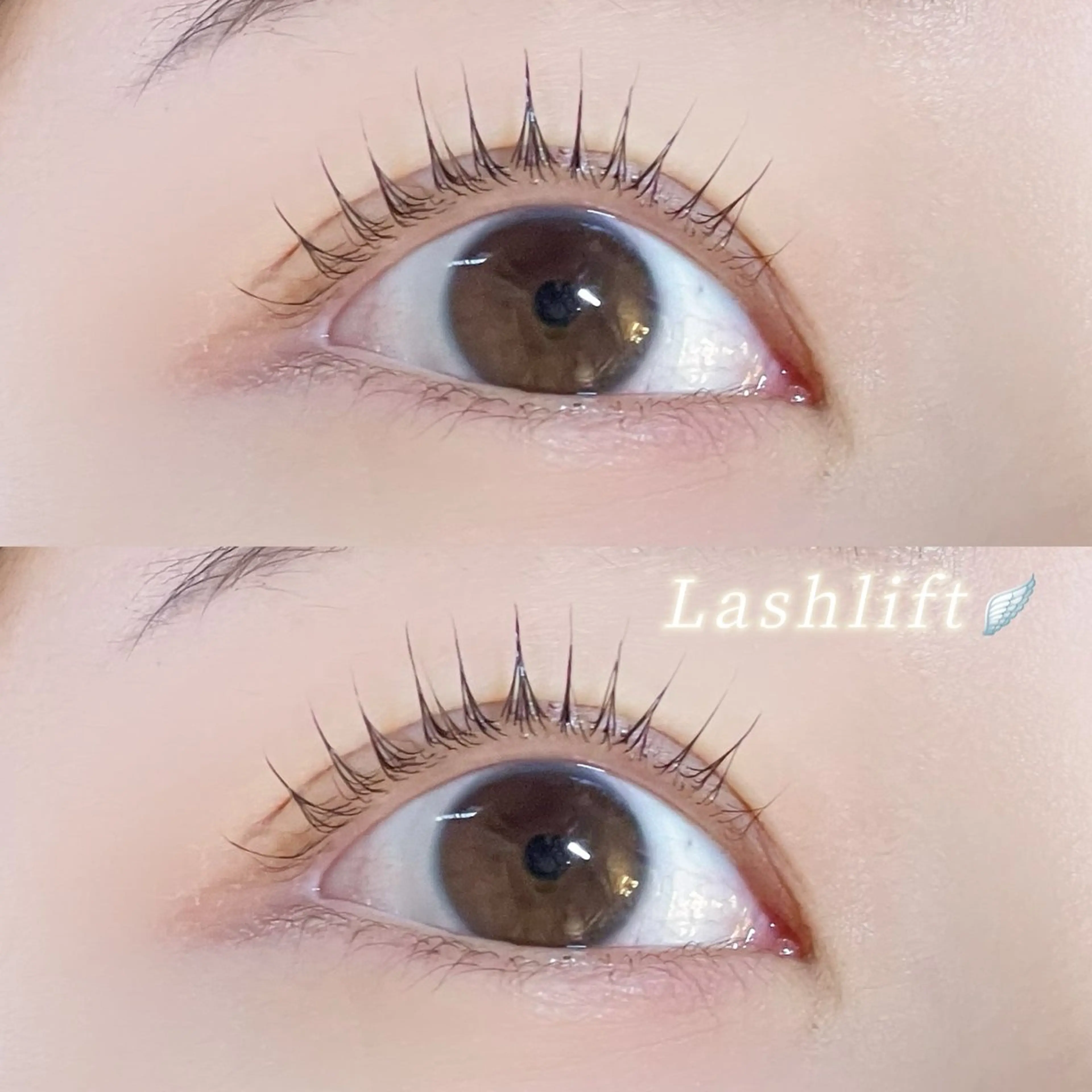 マツエク・マツパ マツパ Azuria恵比寿 🕊️Maayaのマツエク・マツパデザイン