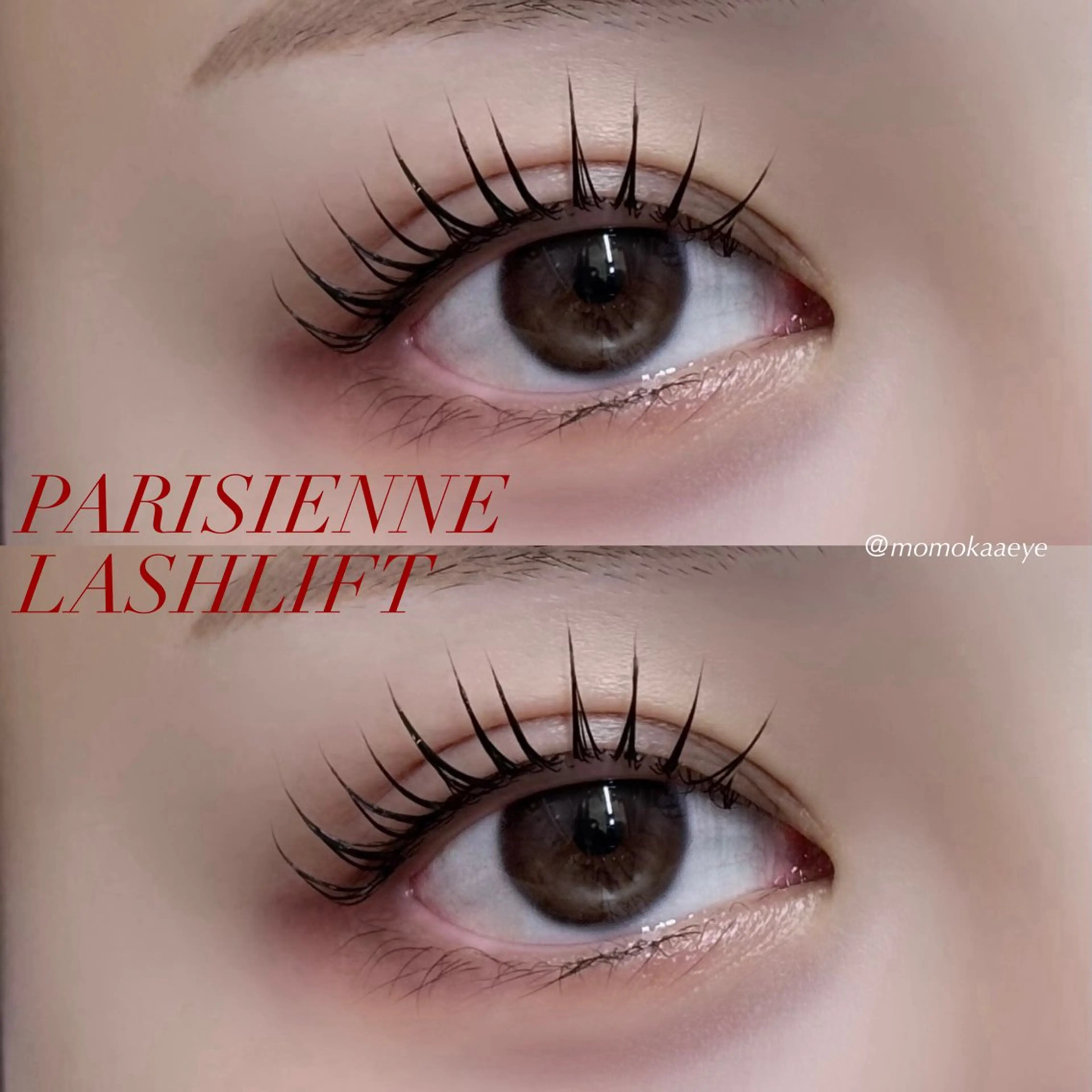 🆙12/26限定💨ラッシュリフト/パリジェンヌラッシュリフト【上のみ】※再来✖️の写真