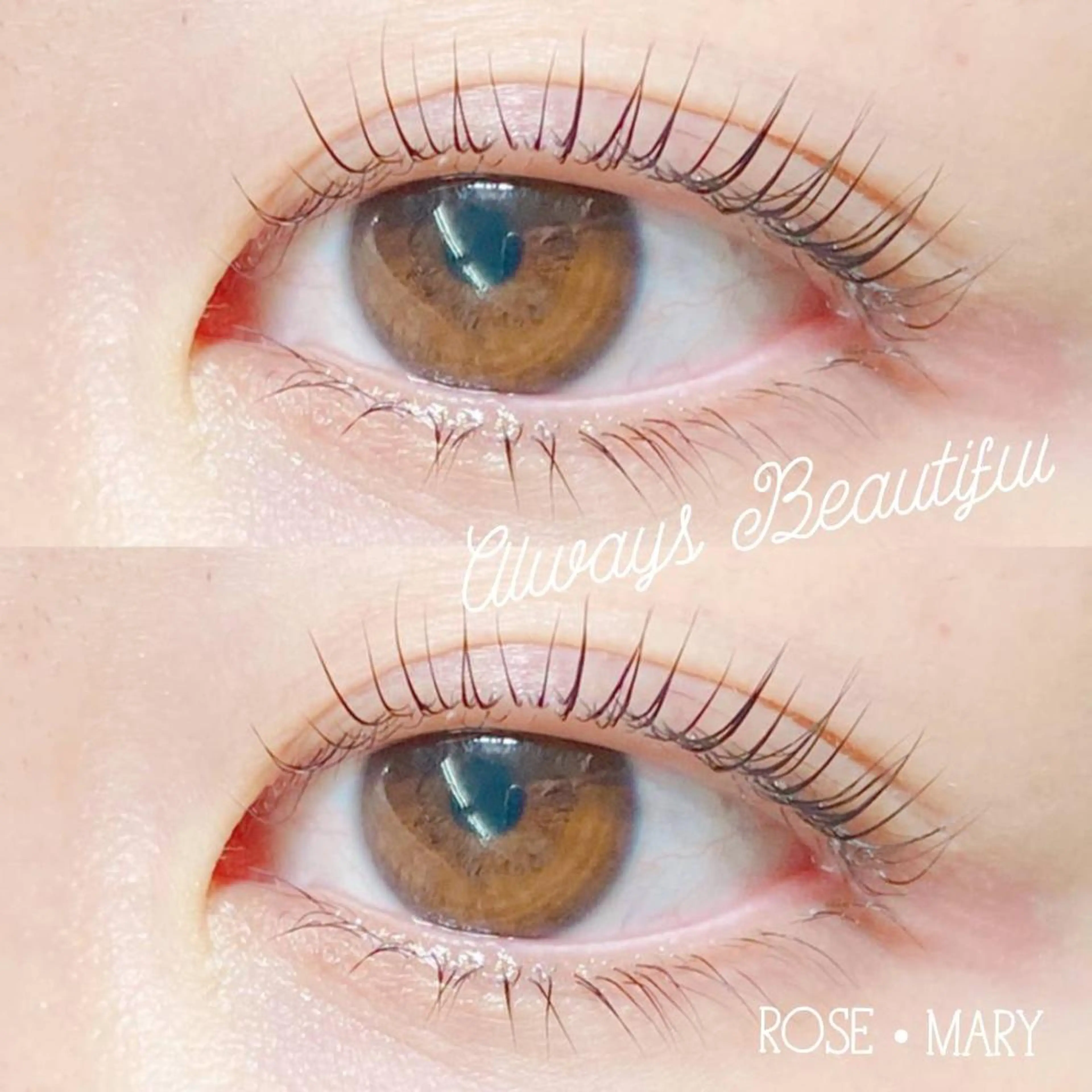 マツエク・マツパ マツパ ROSE MARY 大竹のマツエク・マツパデザイン