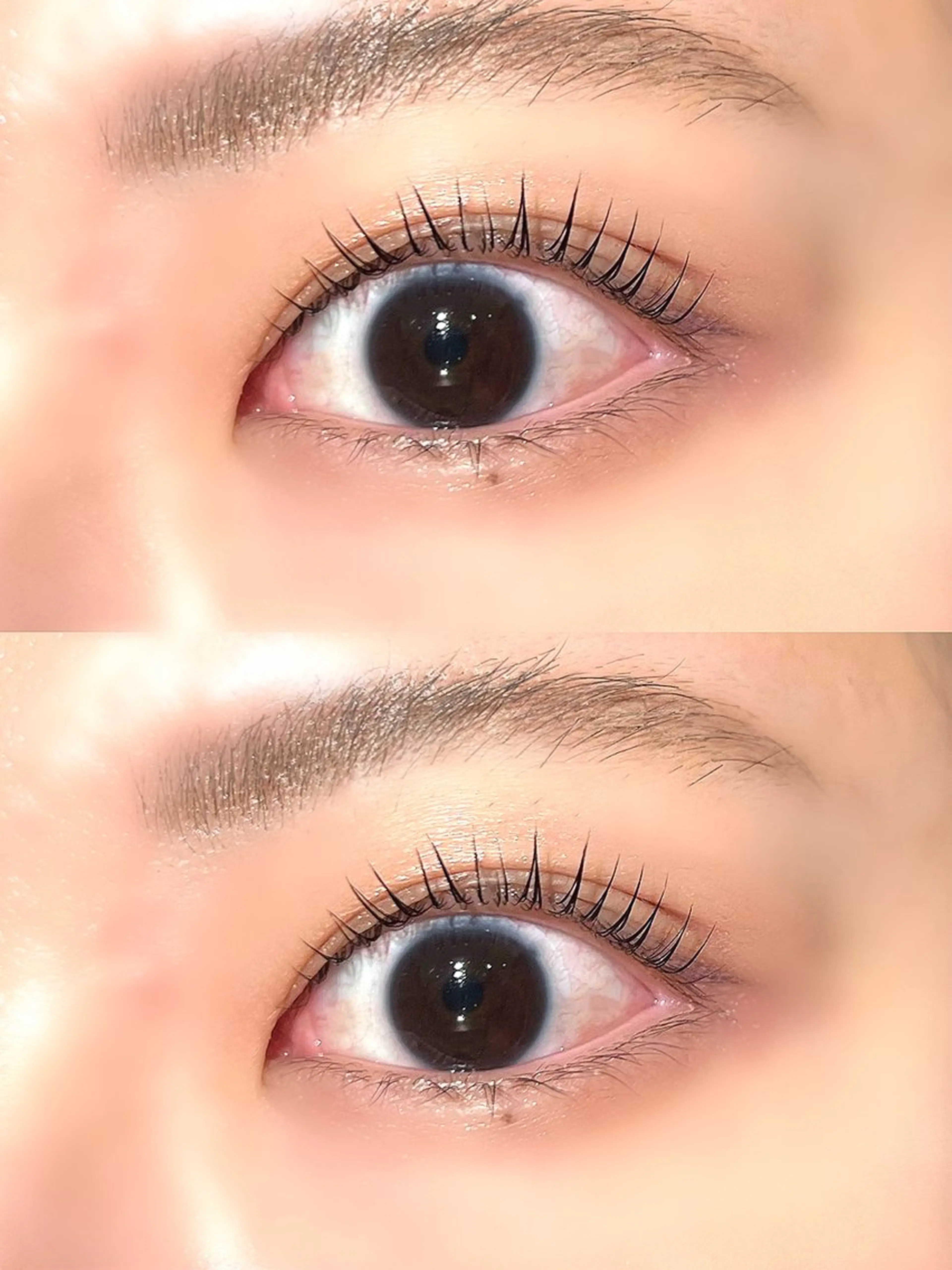 マツエク・マツパ Lカール マツパ FOXYLASH難波 kitamuraのマツエク・マツパデザイン