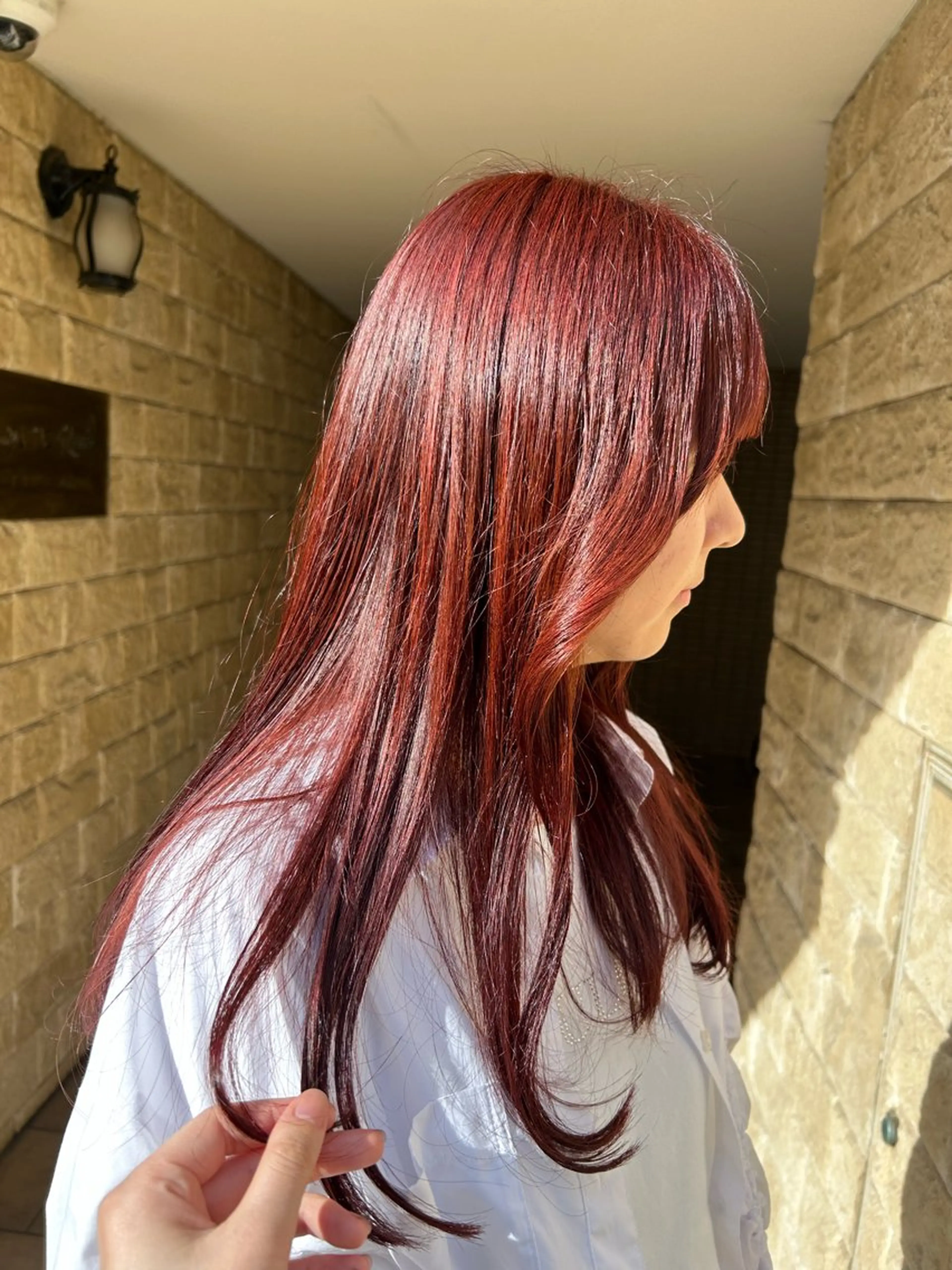 ロング カラー 🦖ミニボブ/ボブ /MOEKA🦕のヘアスタイル