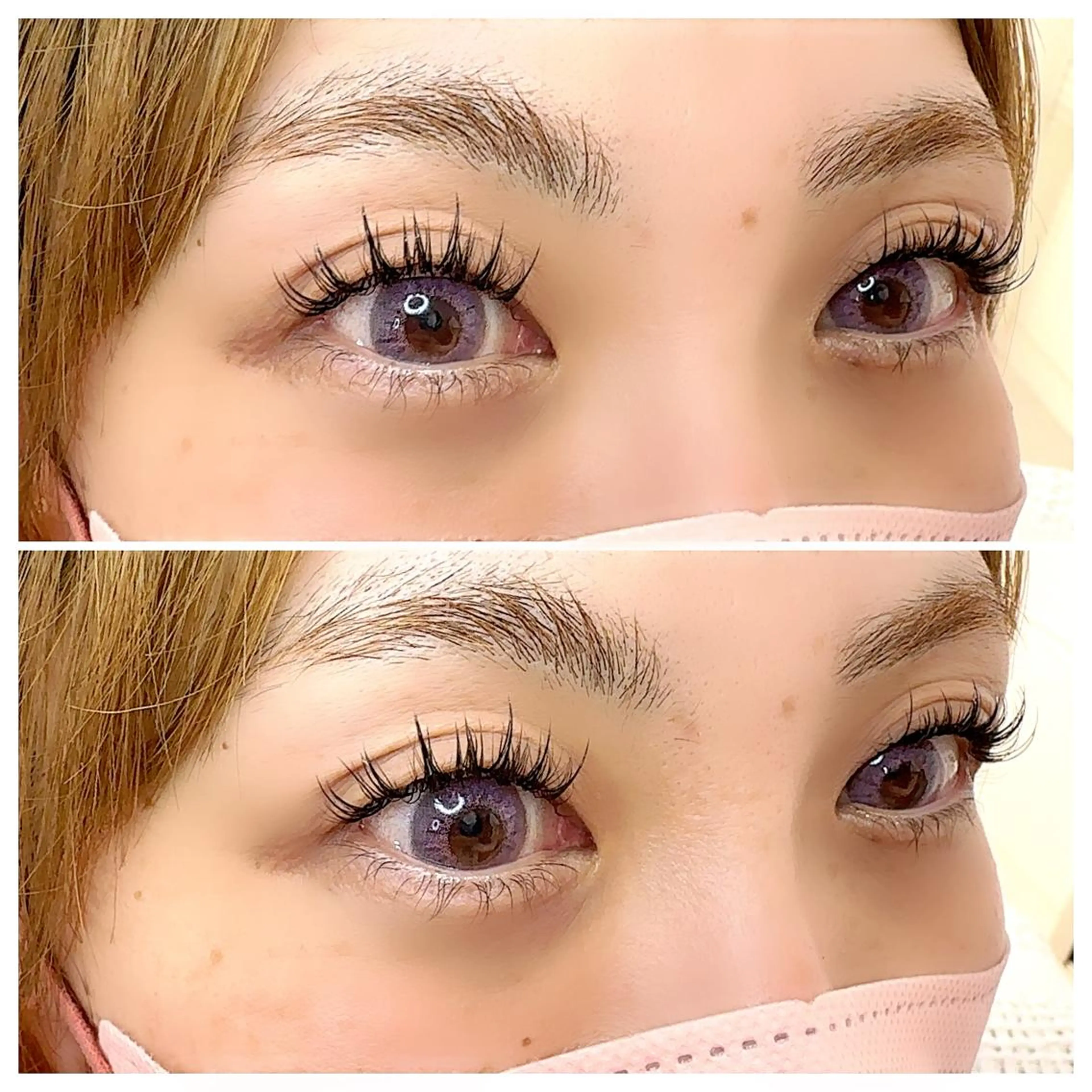 ダブルラッシュ 60束 (オフ込)の写真