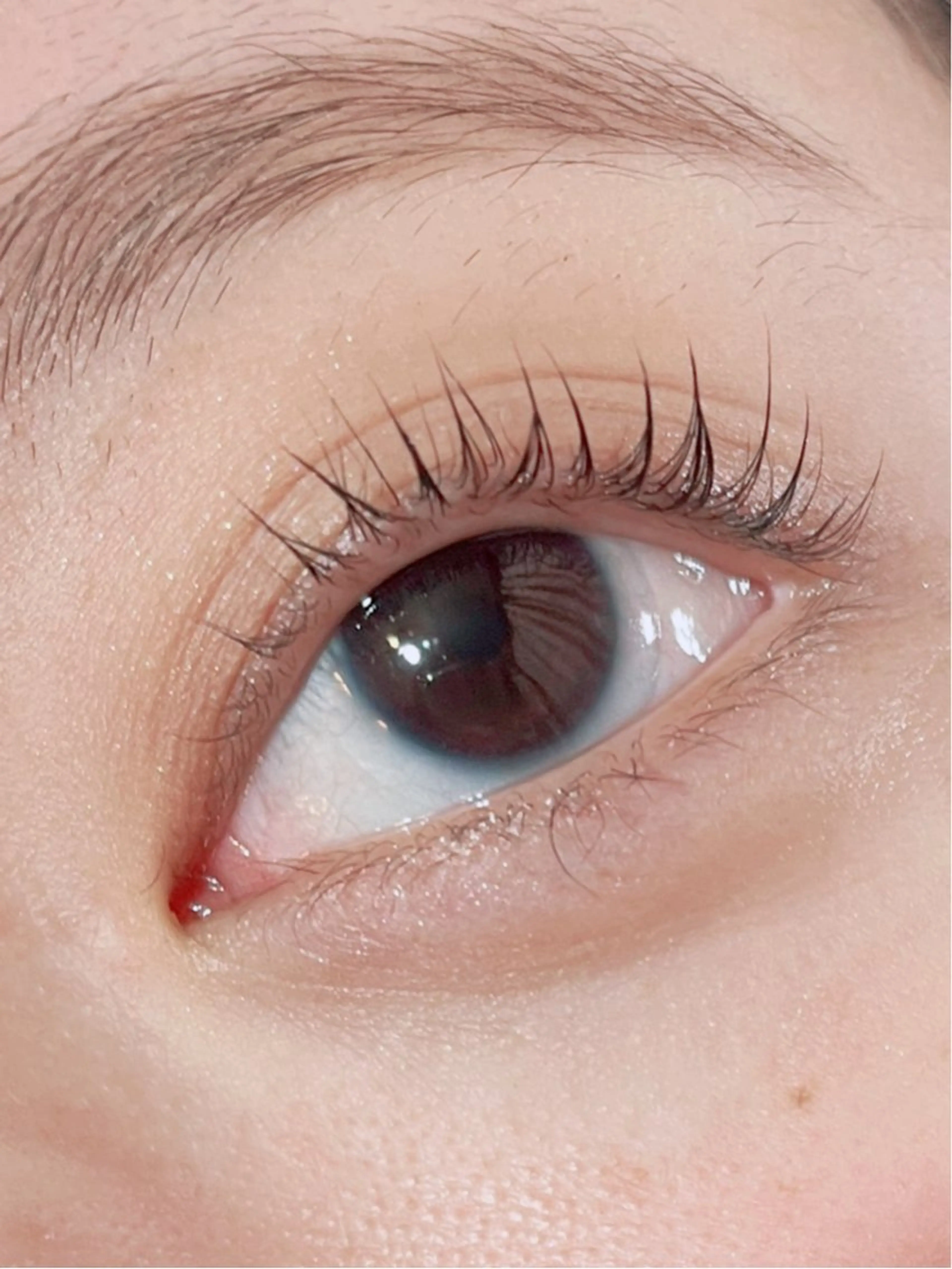 マツエク・マツパ パリジェンヌラッシュリフト Anjir（アンジール）所属・完全個室サロン Anjirのエステ・リラクイメージ