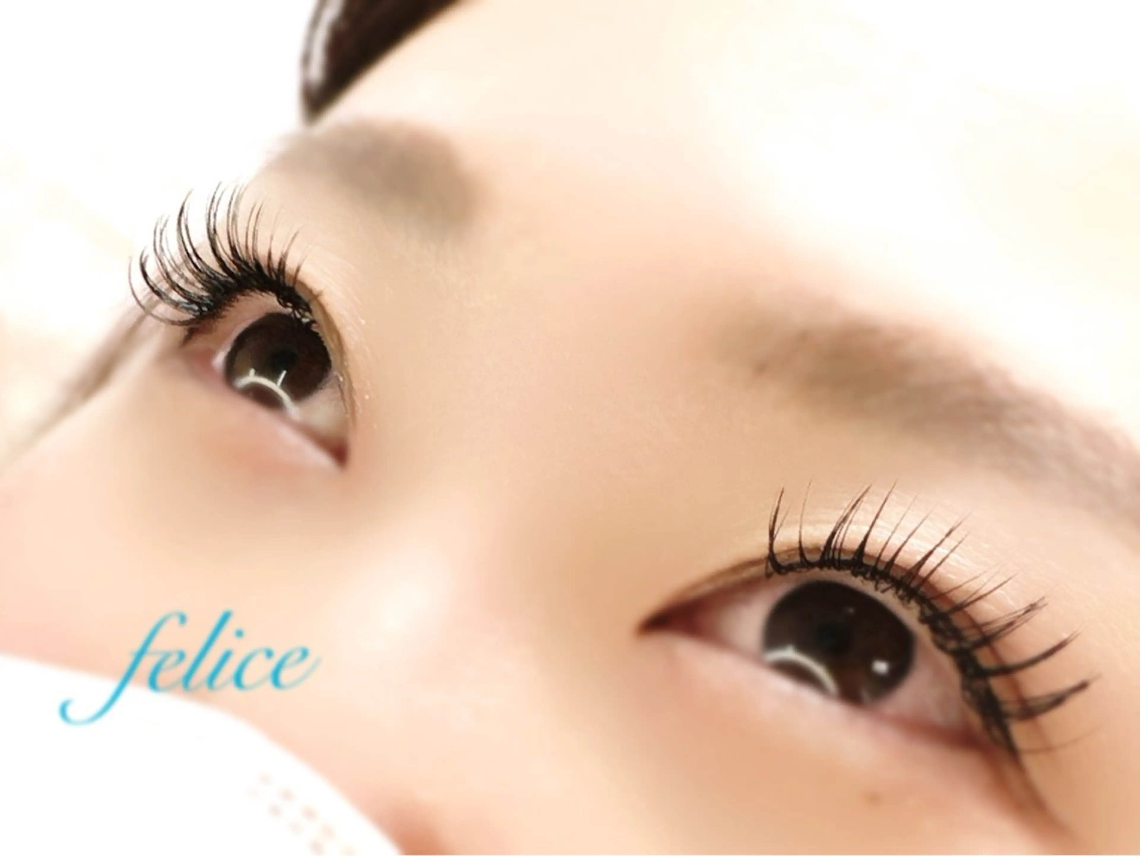 マツエク・マツパ マツエク 【felice】 Takahashiのマツエク・マツパデザイン