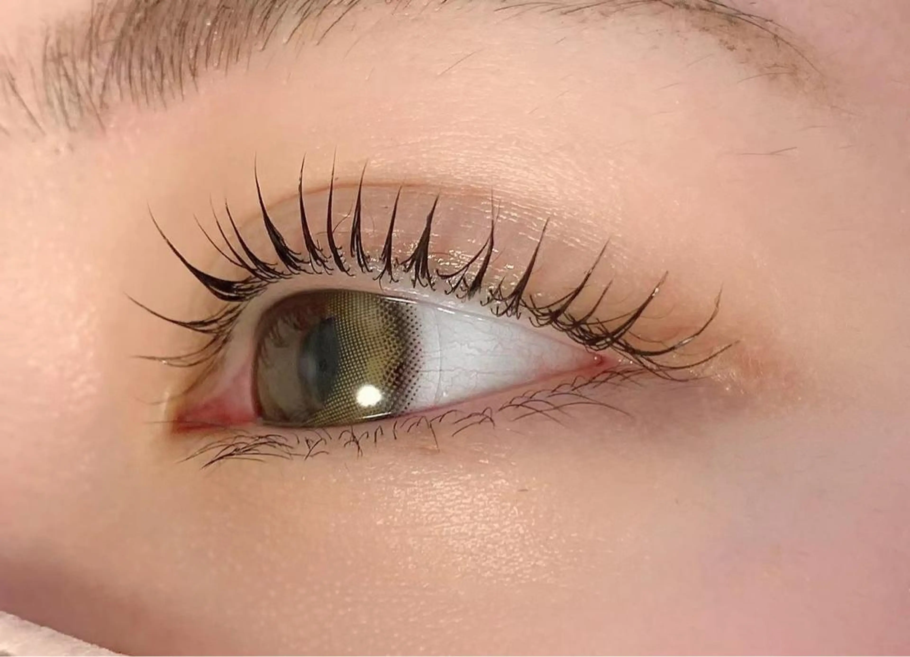 まつげパーマトリートメント付きの写真