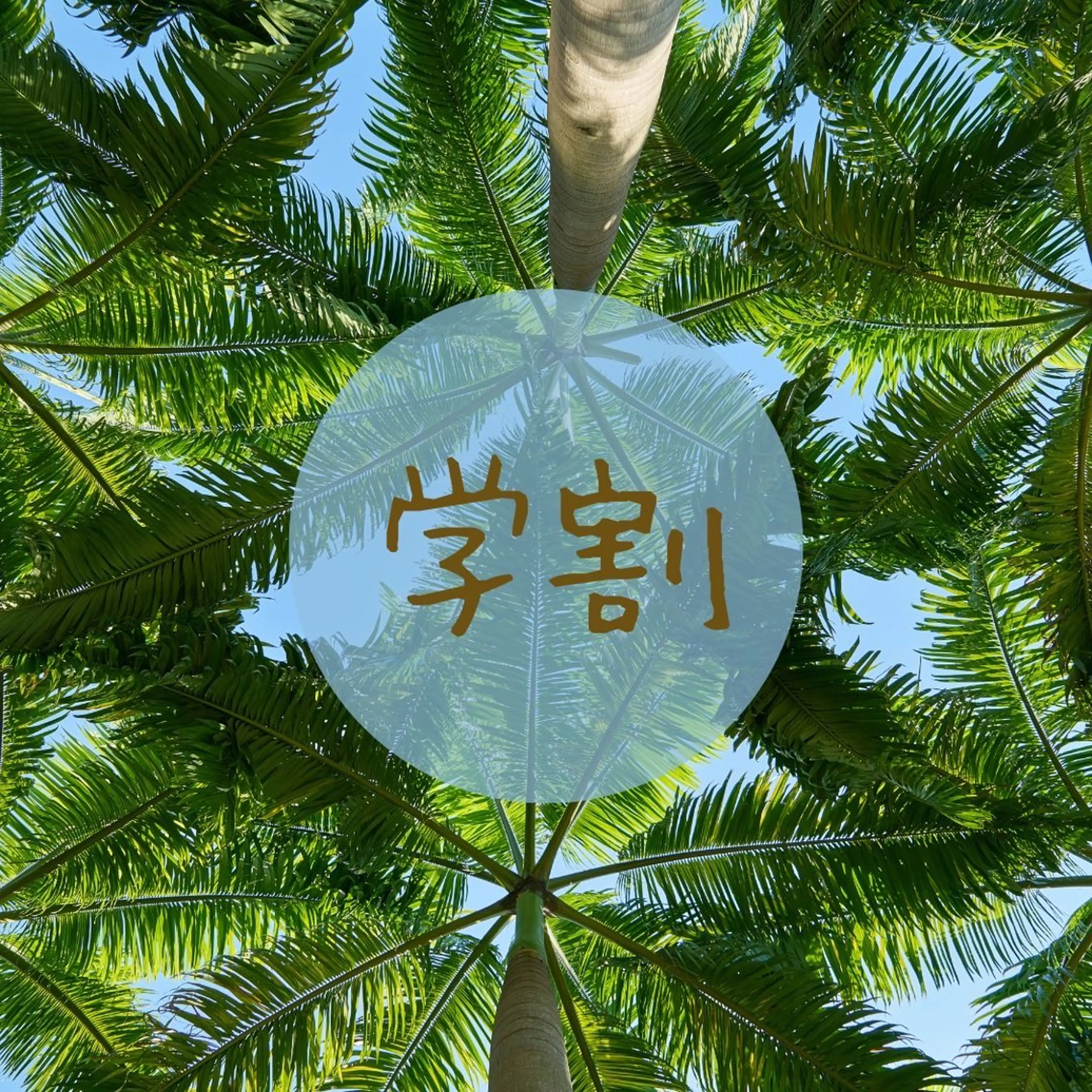 💫学割💫フラットラッシュ100本3980円🦋💜の写真