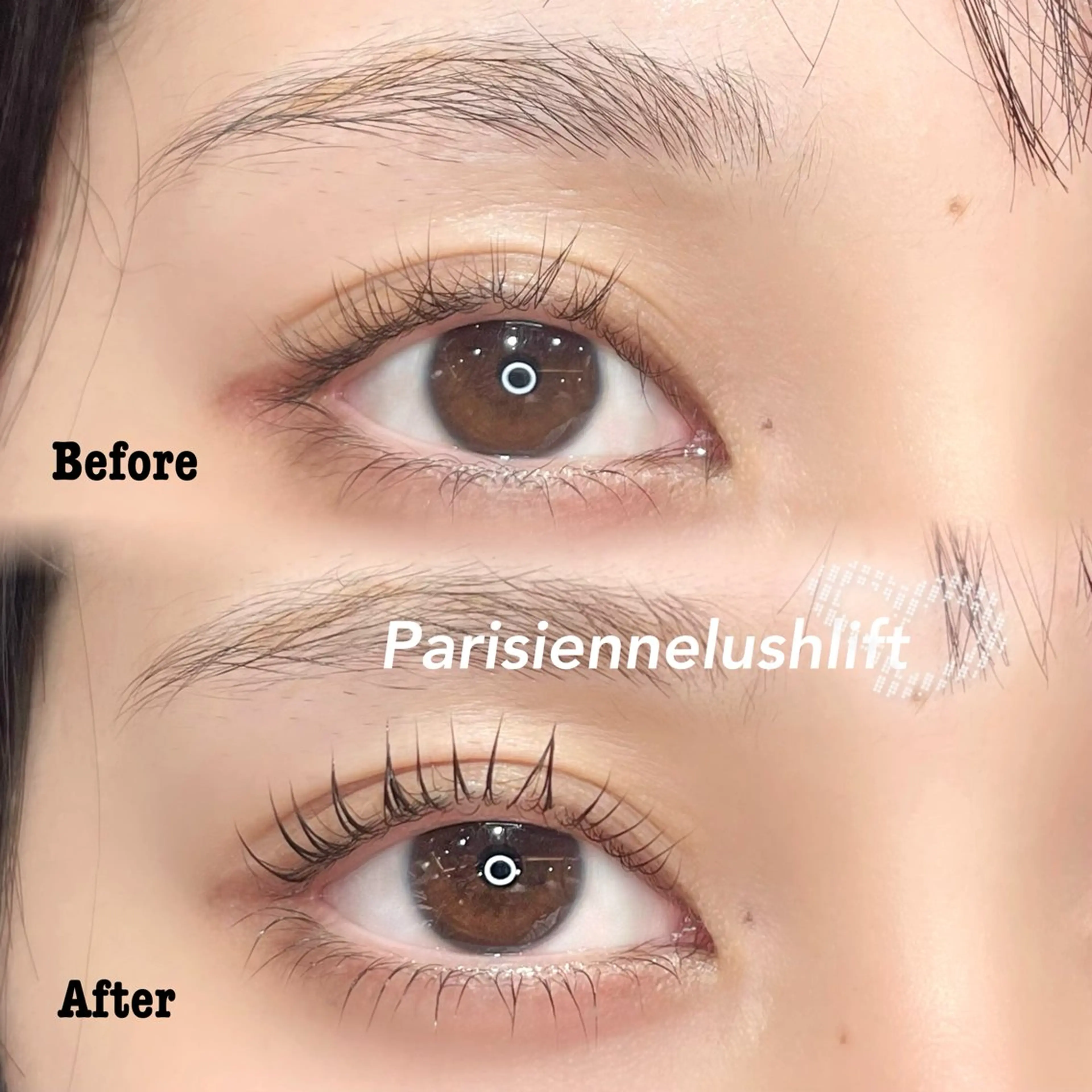 🌟限定価格♩パリジェンヌ上下🌟(再来¥7450)の写真