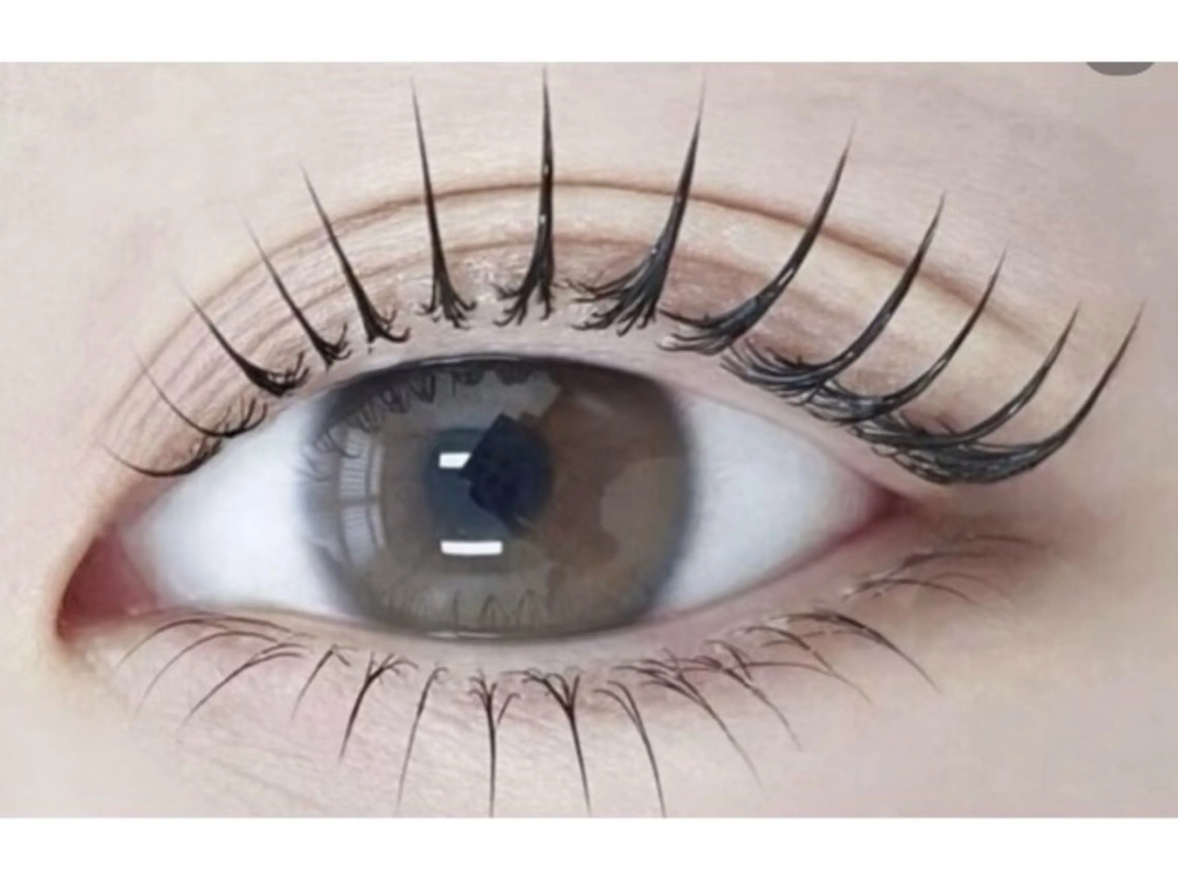 【セーブル80本】付け足し不可の写真