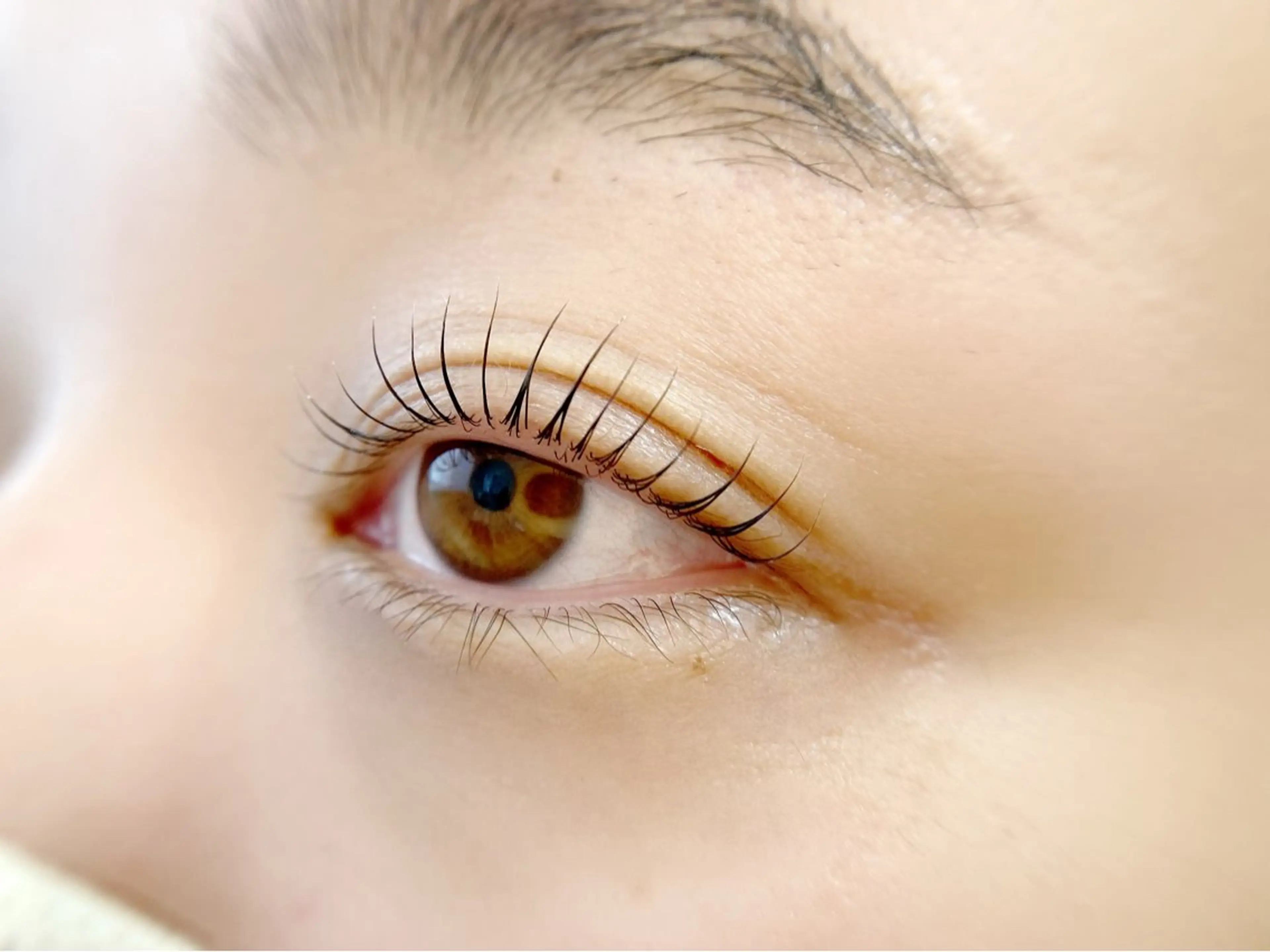 マツエク・マツパ マツパ Angela アンジェラ南増尾のエステ・リラクイメージ