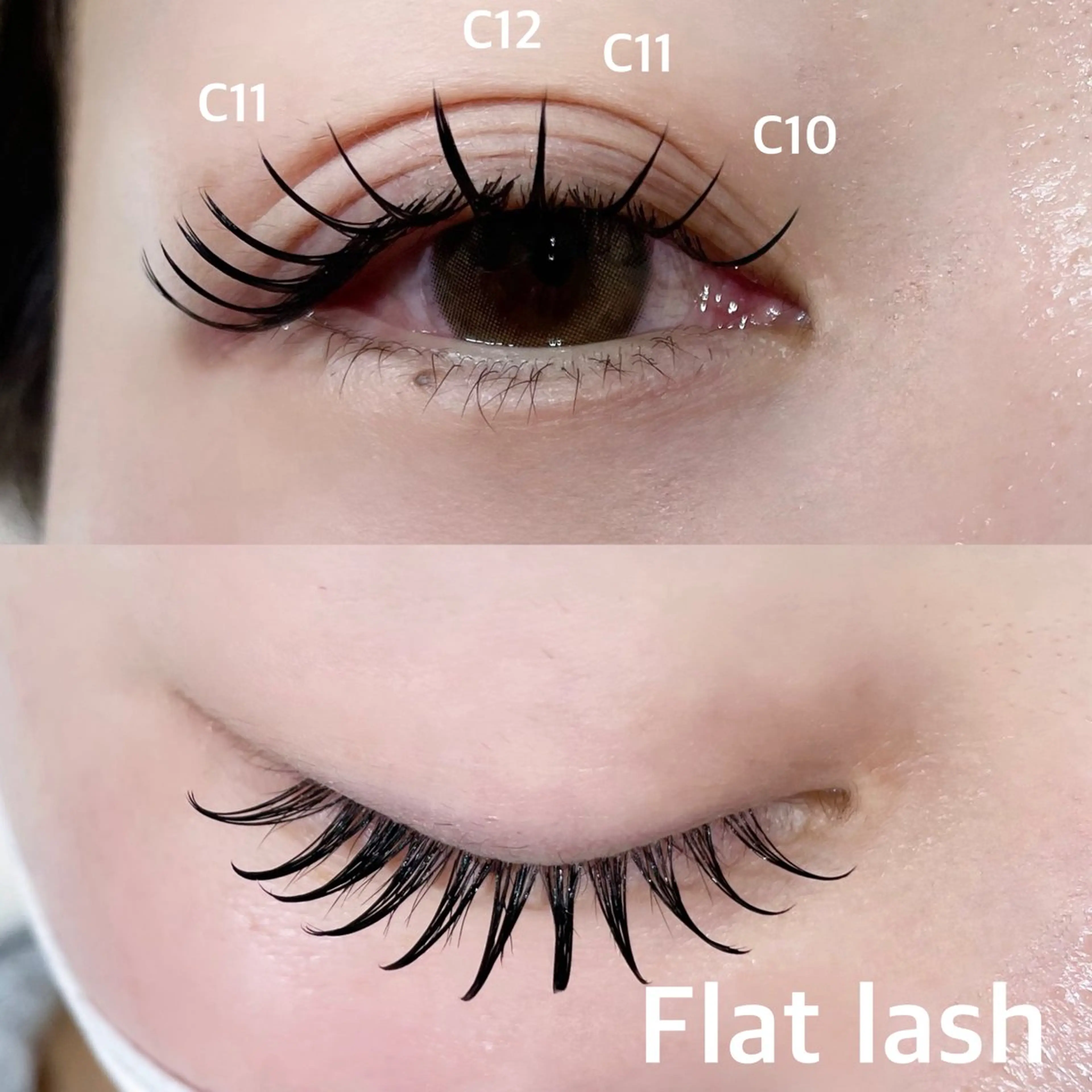 【ミニモ限定】持続力No.1🦋‪バインドロック(ダブルフラット)80束 ¥6000の写真