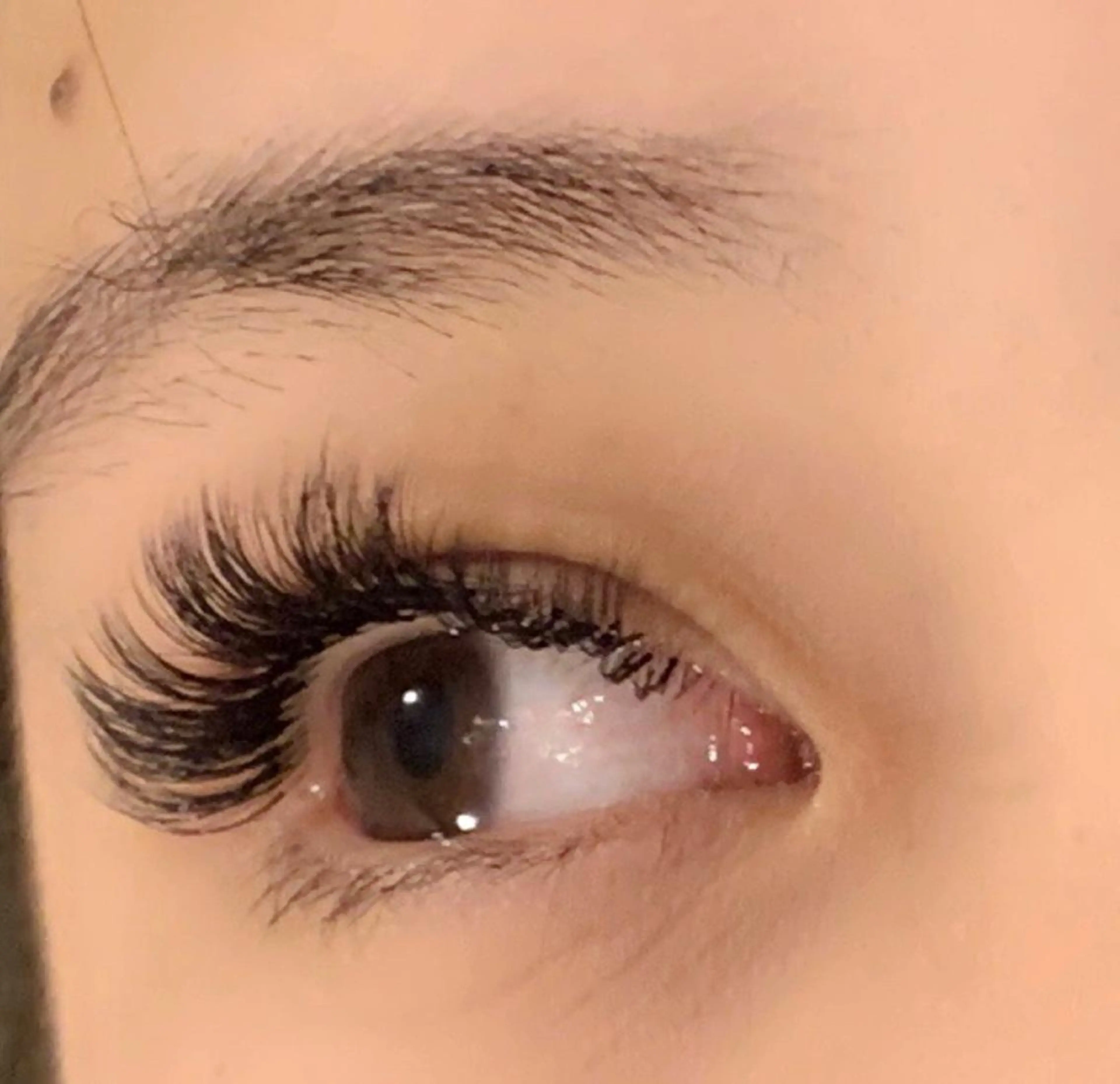 ボリューム！3D60束とFM100(340本)ミックスコース7080円！の写真