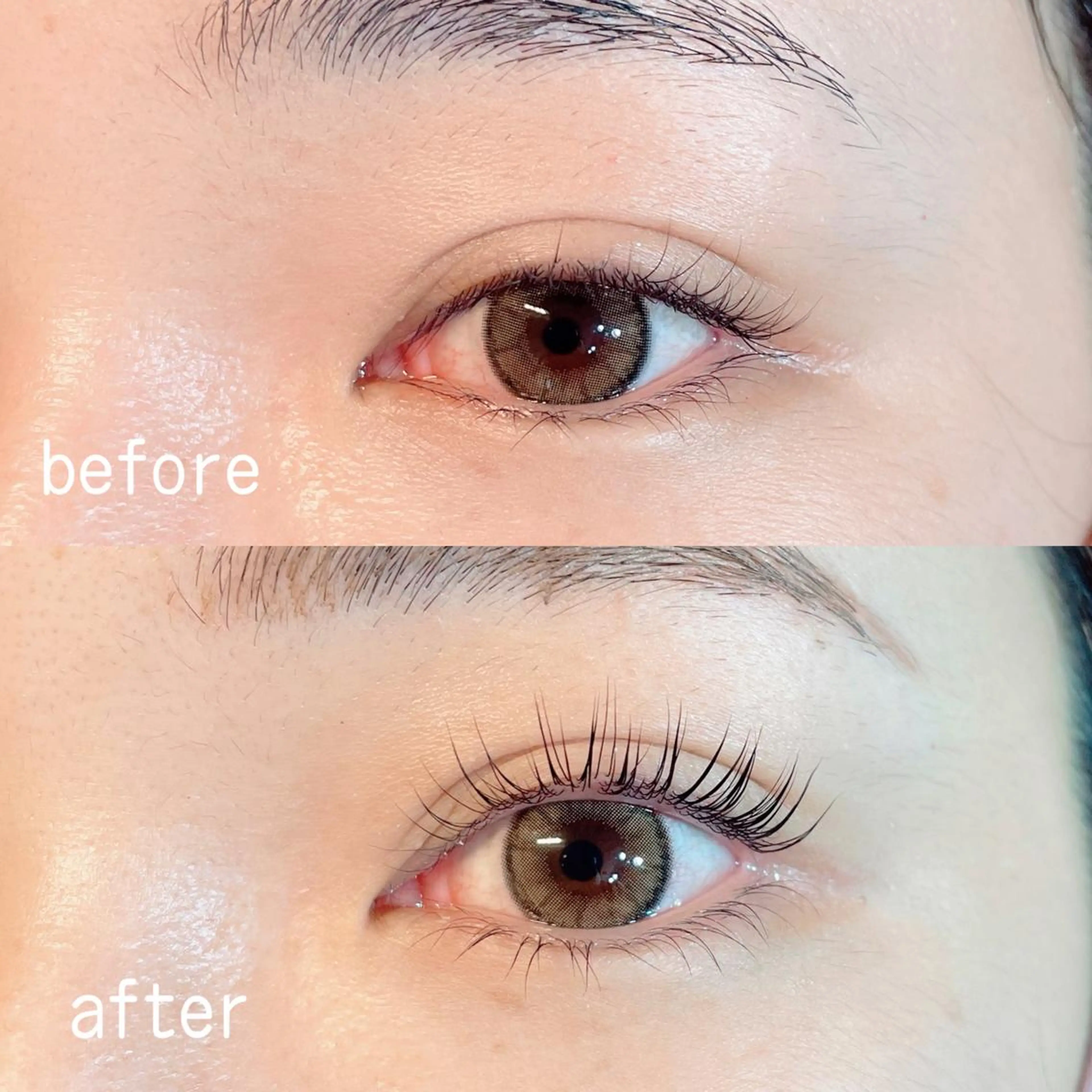 マツエク・マツパ カラーマツエク フラットラッシュ パリジェンヌラッシュリフト まつげパーマ ボリュームラッシュ Mori ✨Mystical✨のマツエク・マツパデザイン