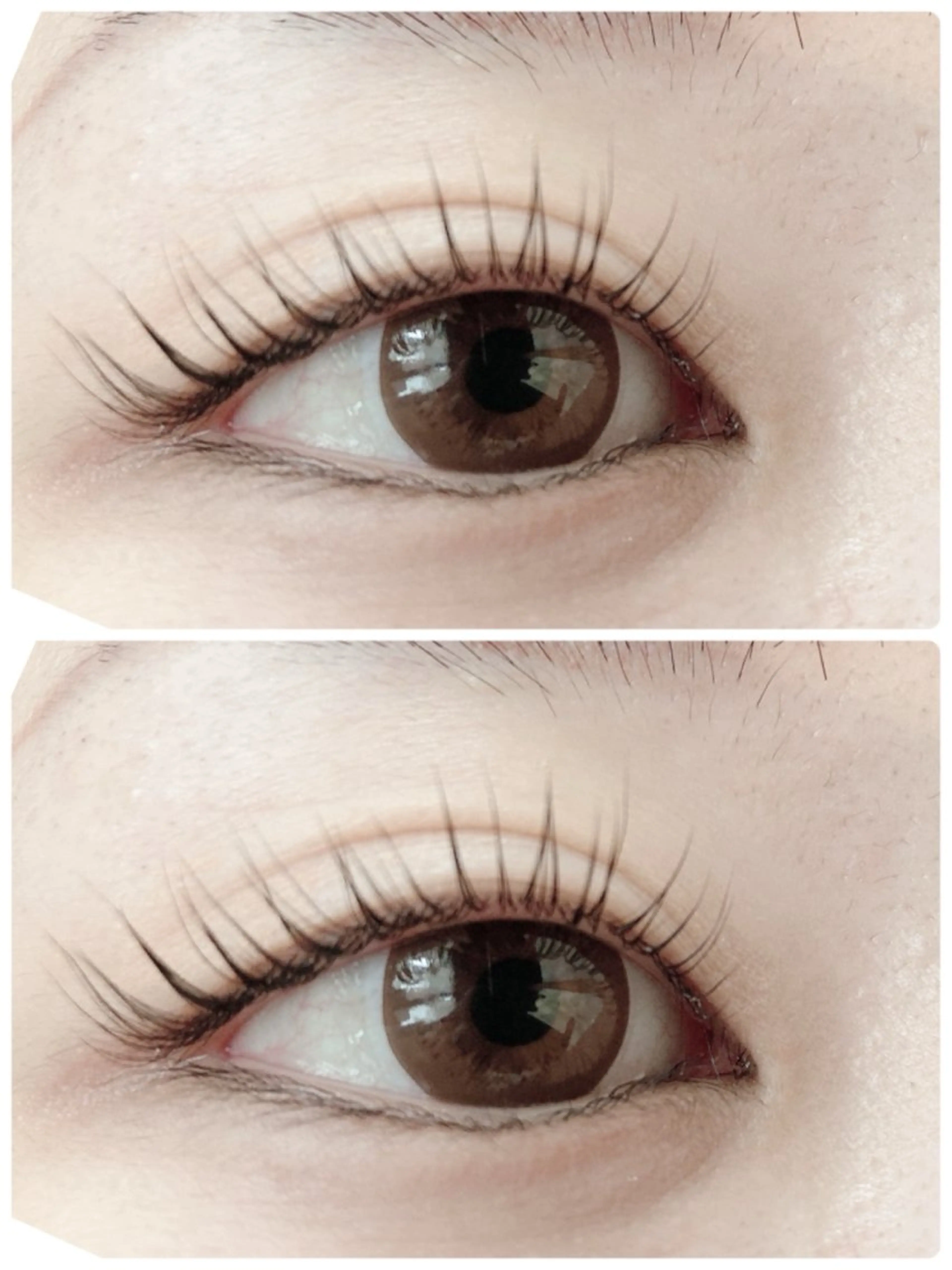 マツエク・マツパ パリジェンヌラッシュリフト ✨sylph✨ MADOKA✨のマツエク・マツパデザイン