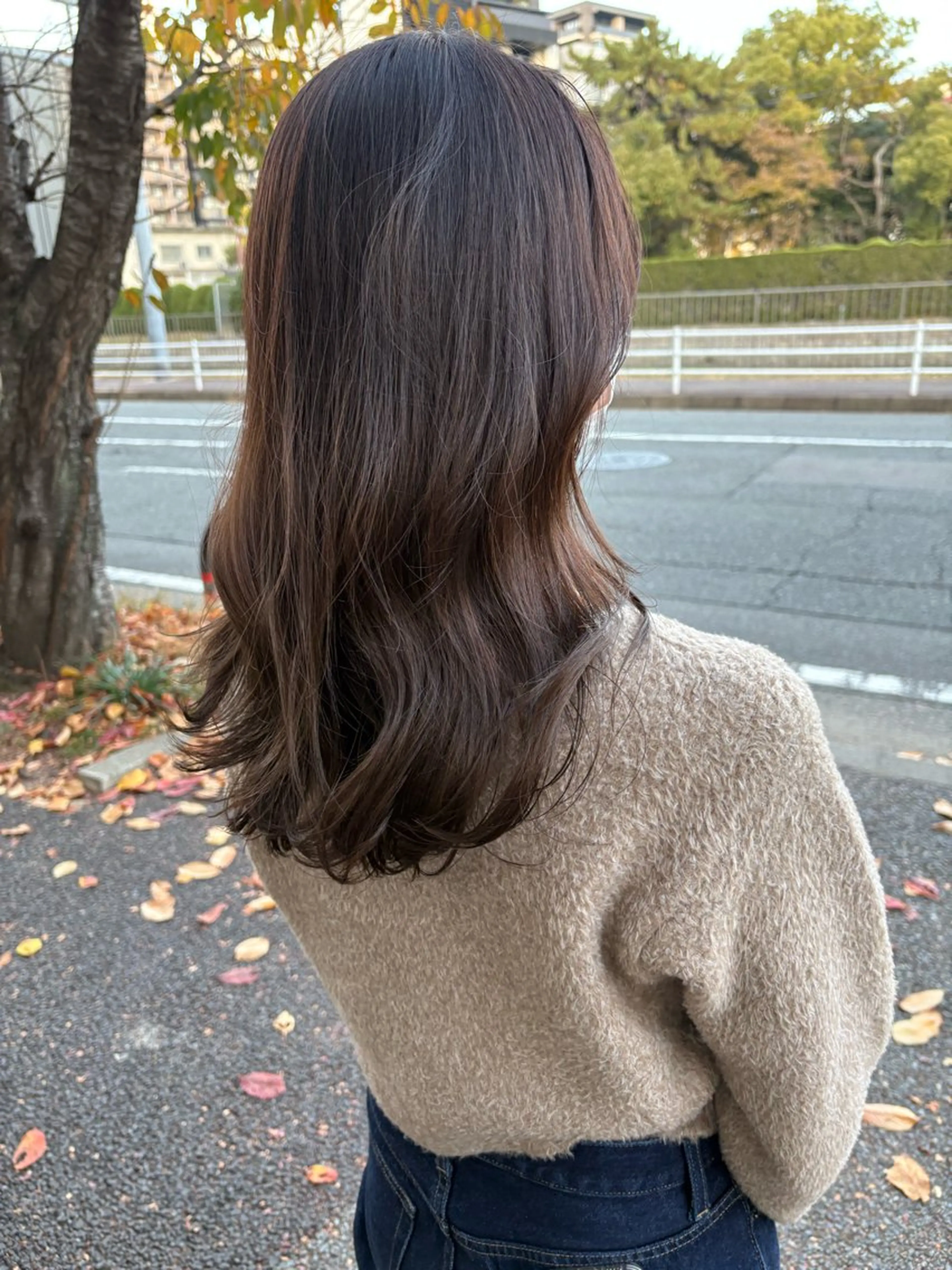 セミロング カラー 井手 素子のヘアスタイル