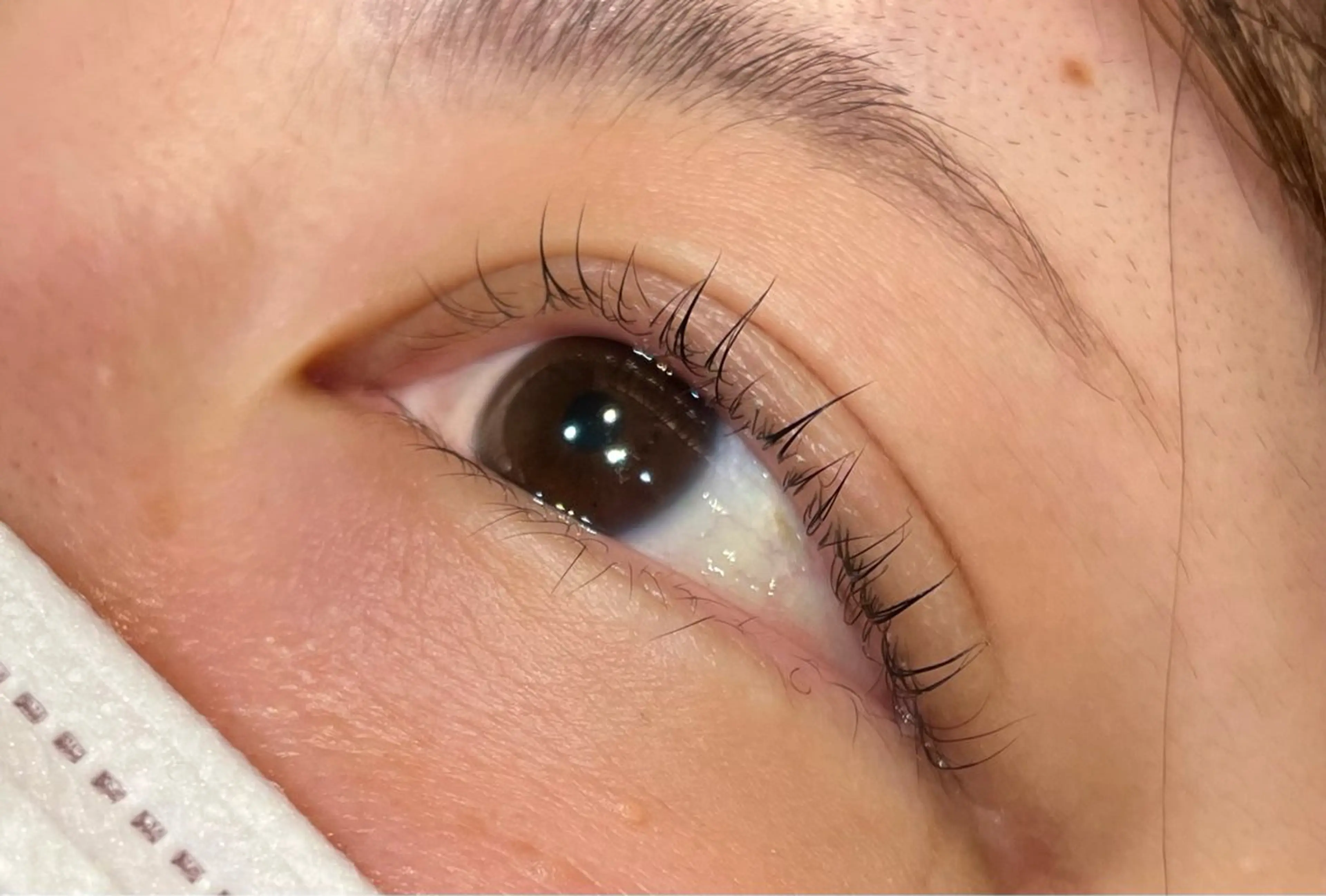 マツエク・マツパ マツパ まつパ/マツエク🤎 艶カラー/ゆり♡⃛のヘアスタイル