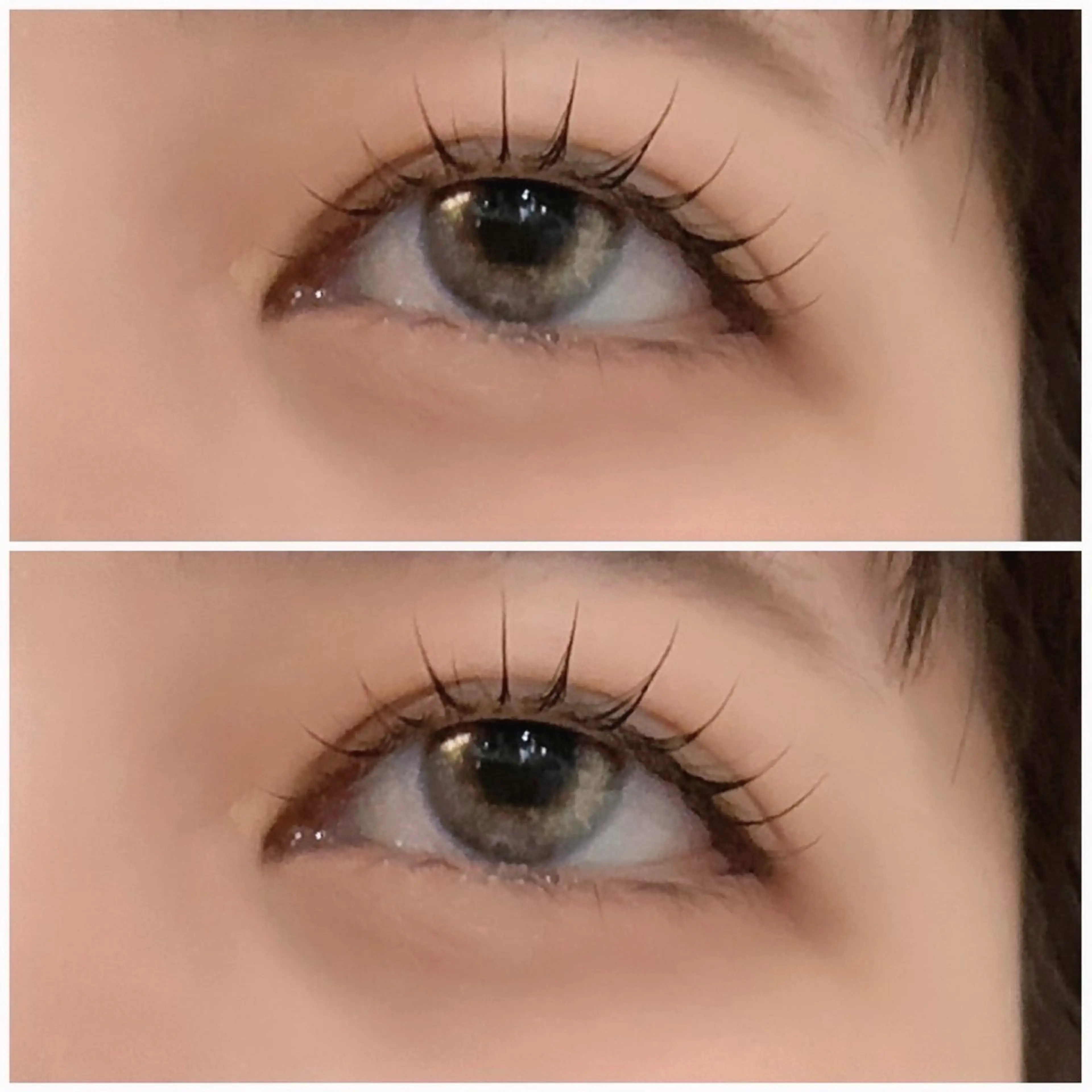 ãããšã¯ã»ããã Isogai ðžð¯ï»¿ã®ãããšã¯ã»ããããã¶ã€ã³