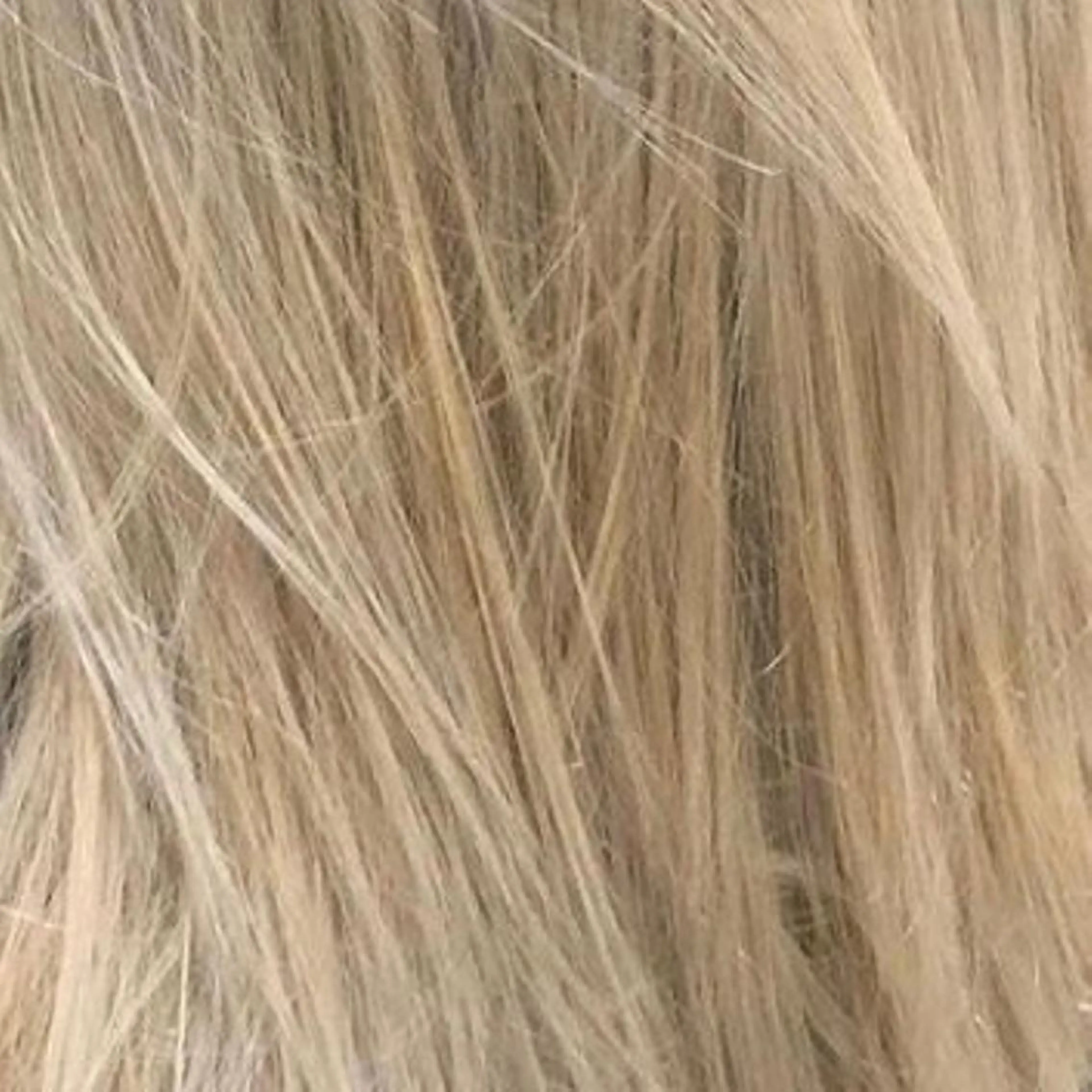 カラー ヘアアレンジ ベージュカラー ブリーチ ハイトーンカラー 桃果 momokaのヘアスタイル