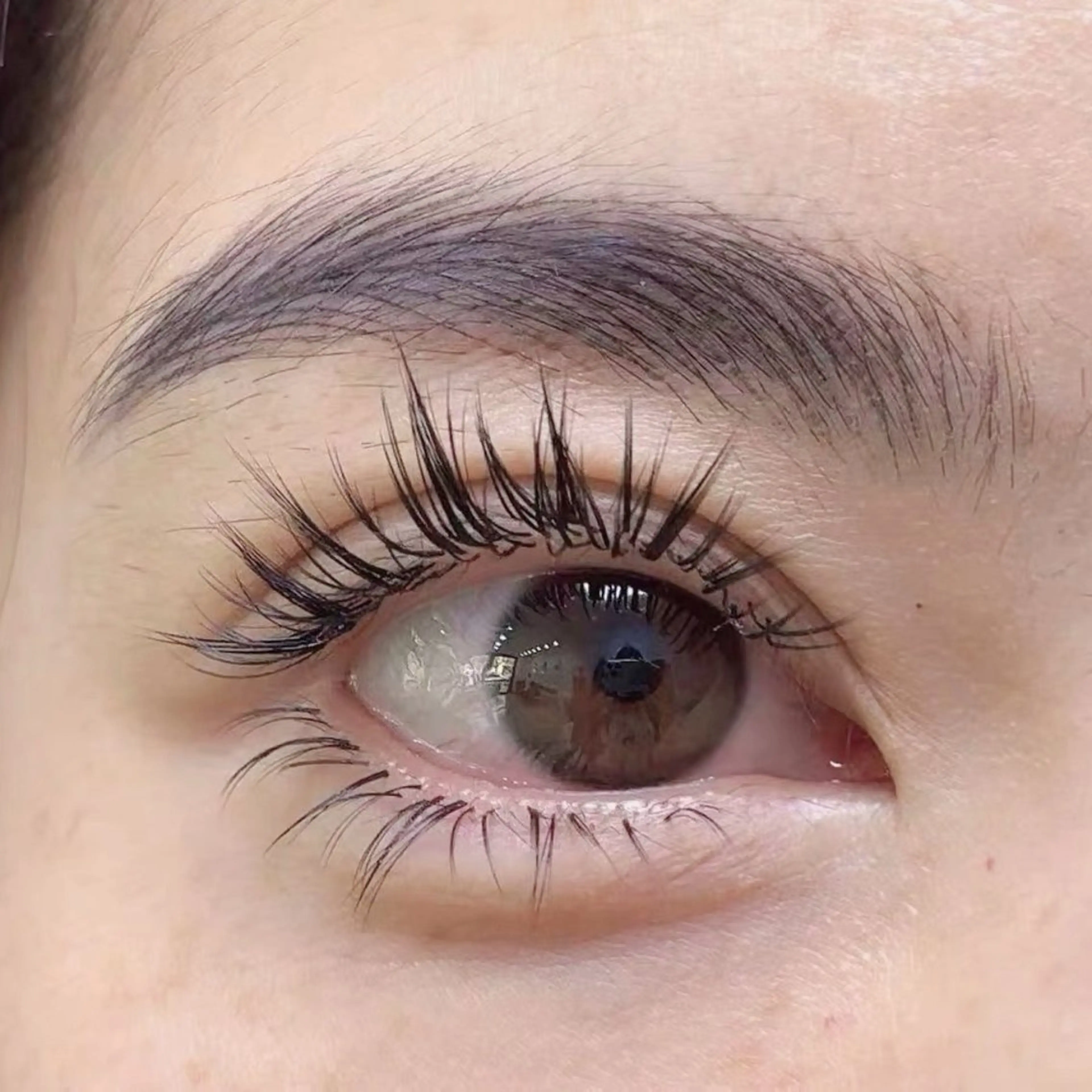 バインドロック200本(50束)の写真