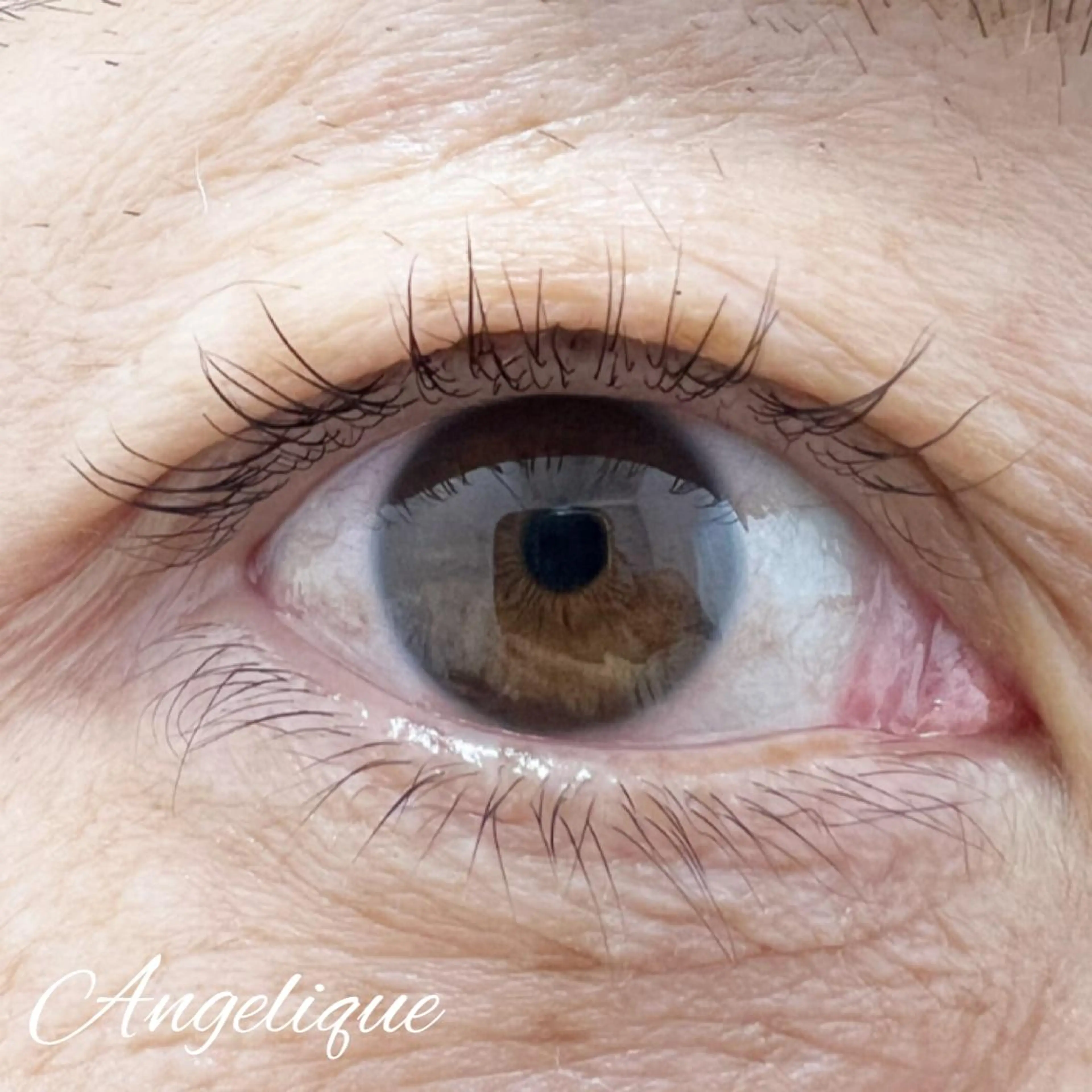 マツエク・マツパ ナチュラル 一重×まつ毛パーマ 田村 莉子のマツエク・マツパデザイン