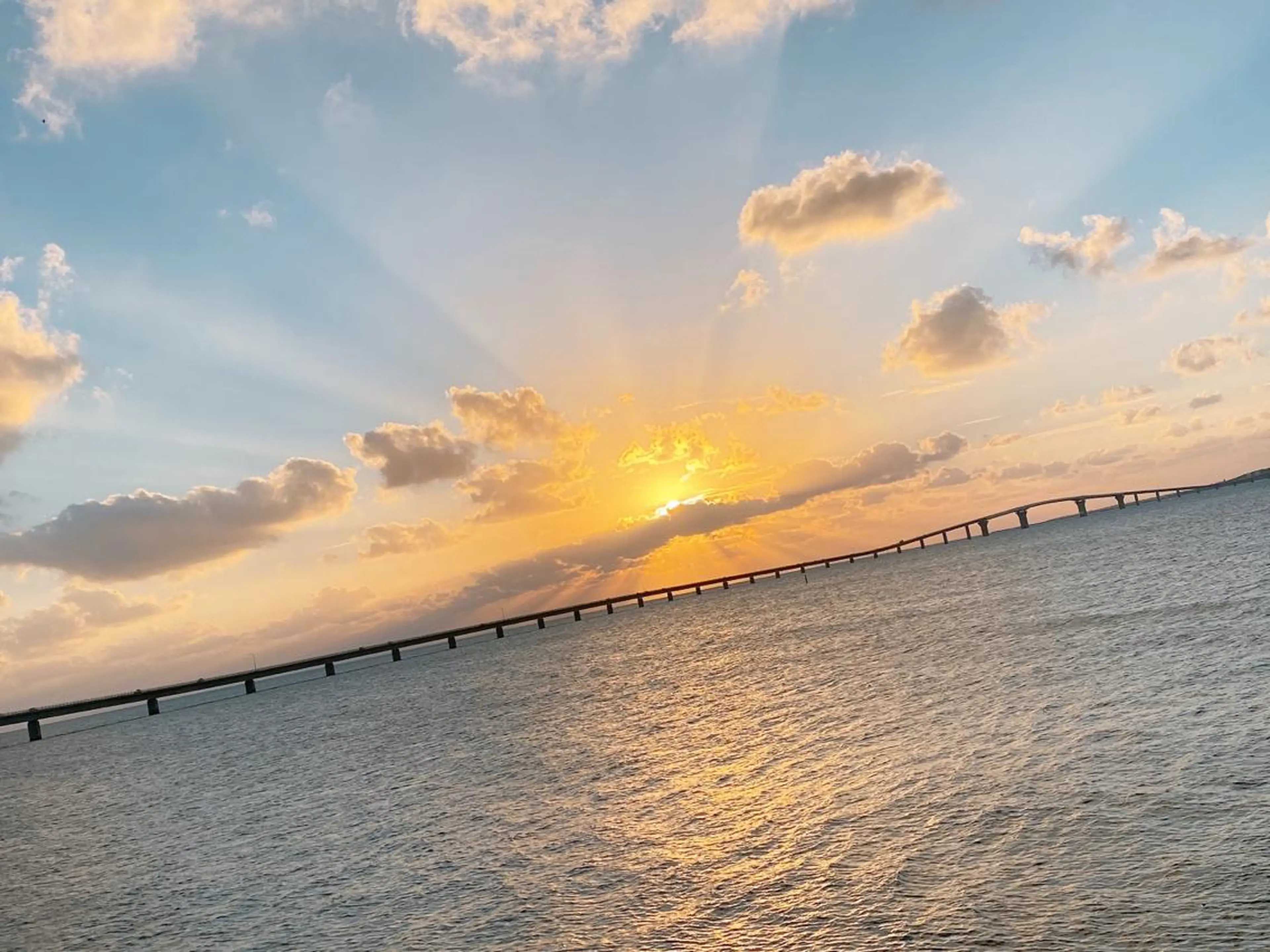 ⛅️セーブル８０本⛅️他店様お付け足し🆗の写真