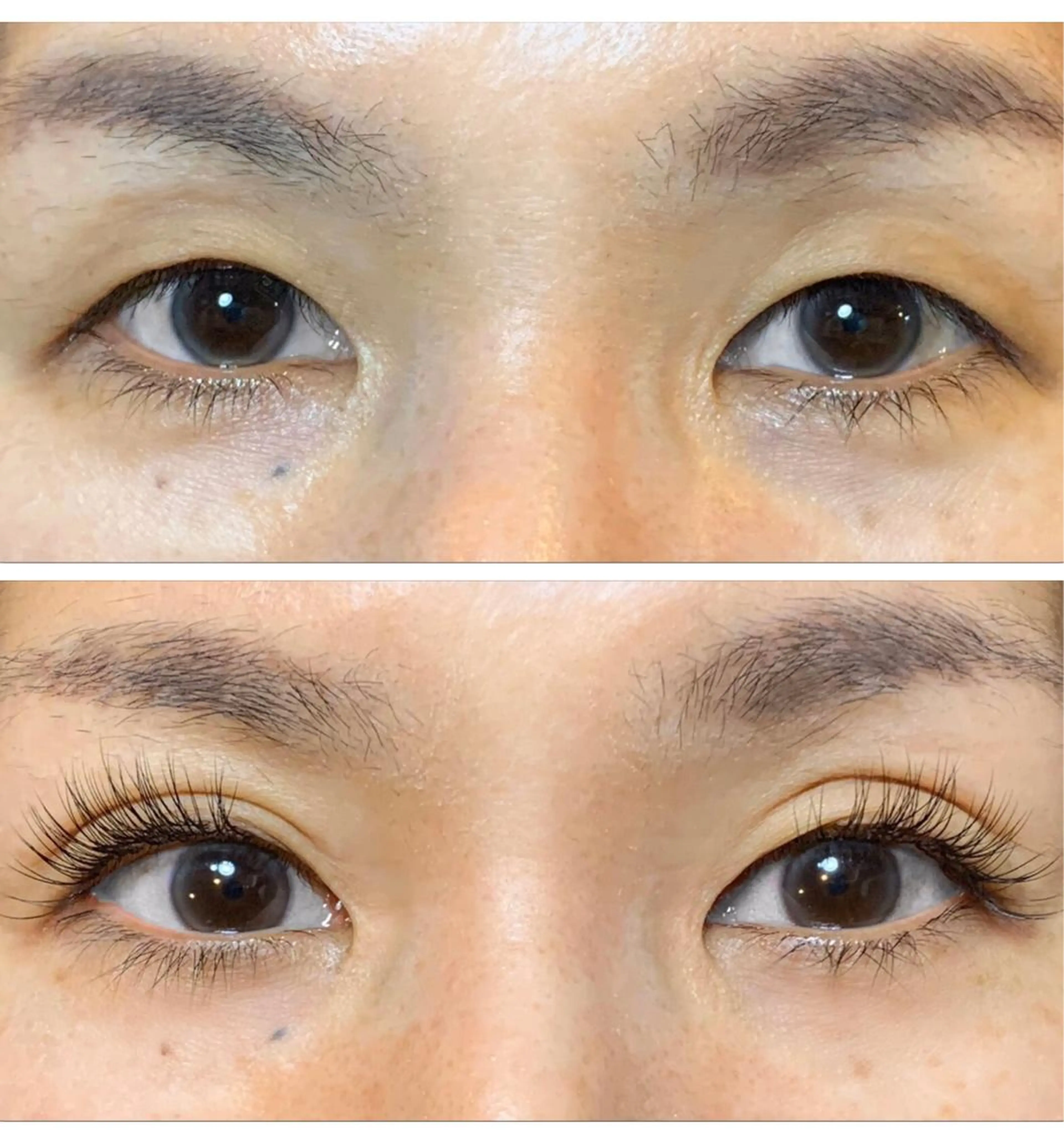 マツエク・マツパ PRIMO🐈🌱 マツパ/黒ティントのマツエク・マツパデザイン