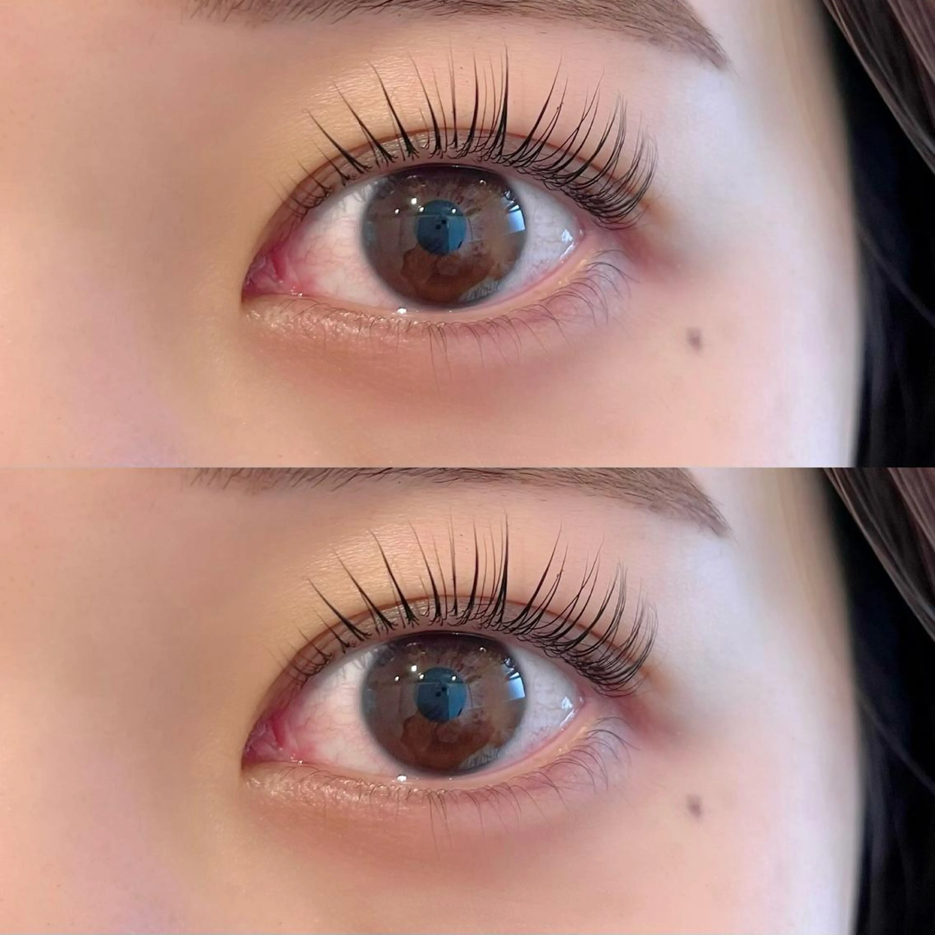 12/19.21限定❕束感✨✨似合わせパリジェンヌラッシュリフト（アイシャンプー付き）の写真