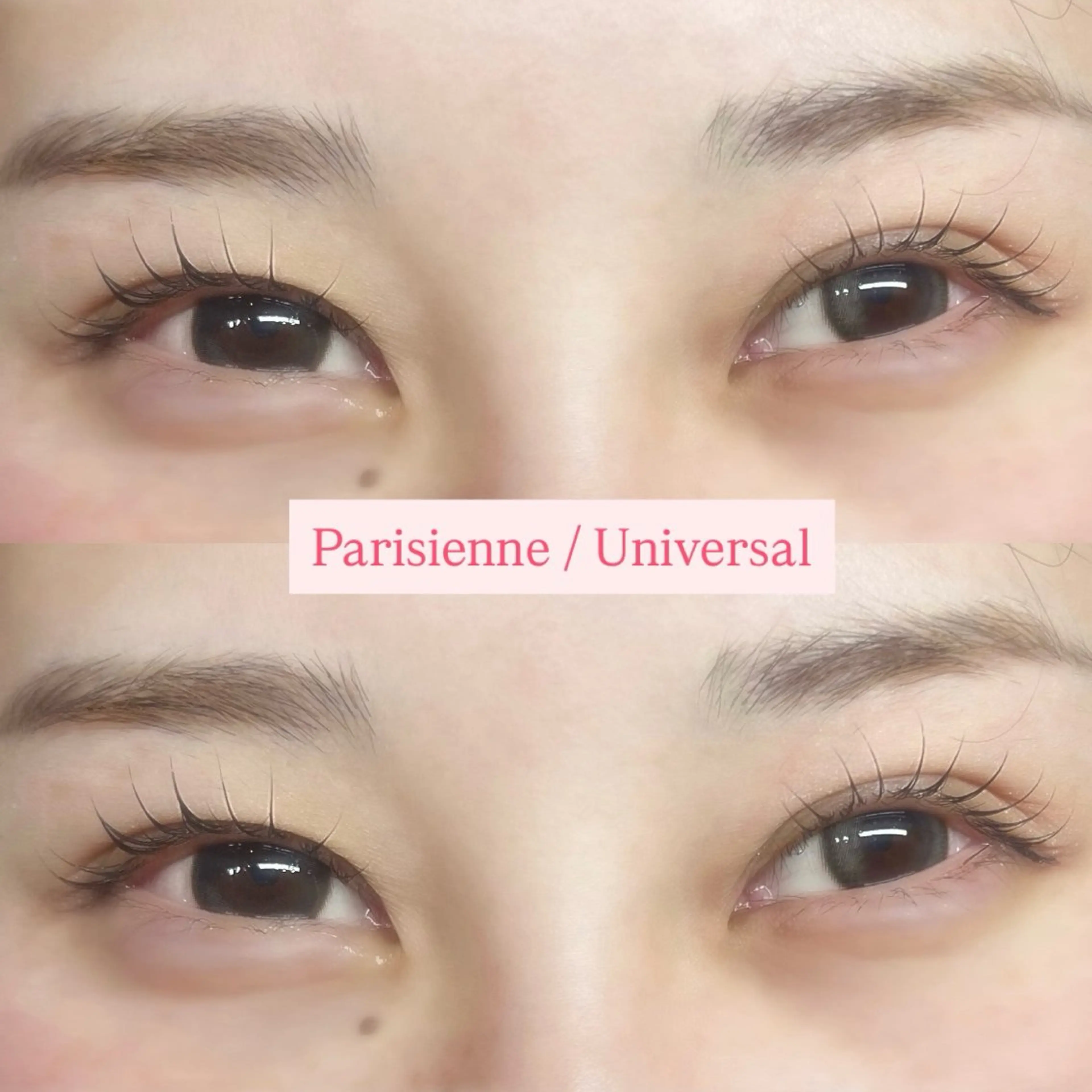 マツエク・マツパ Universal / Tanakaのマツエク・マツパデザイン