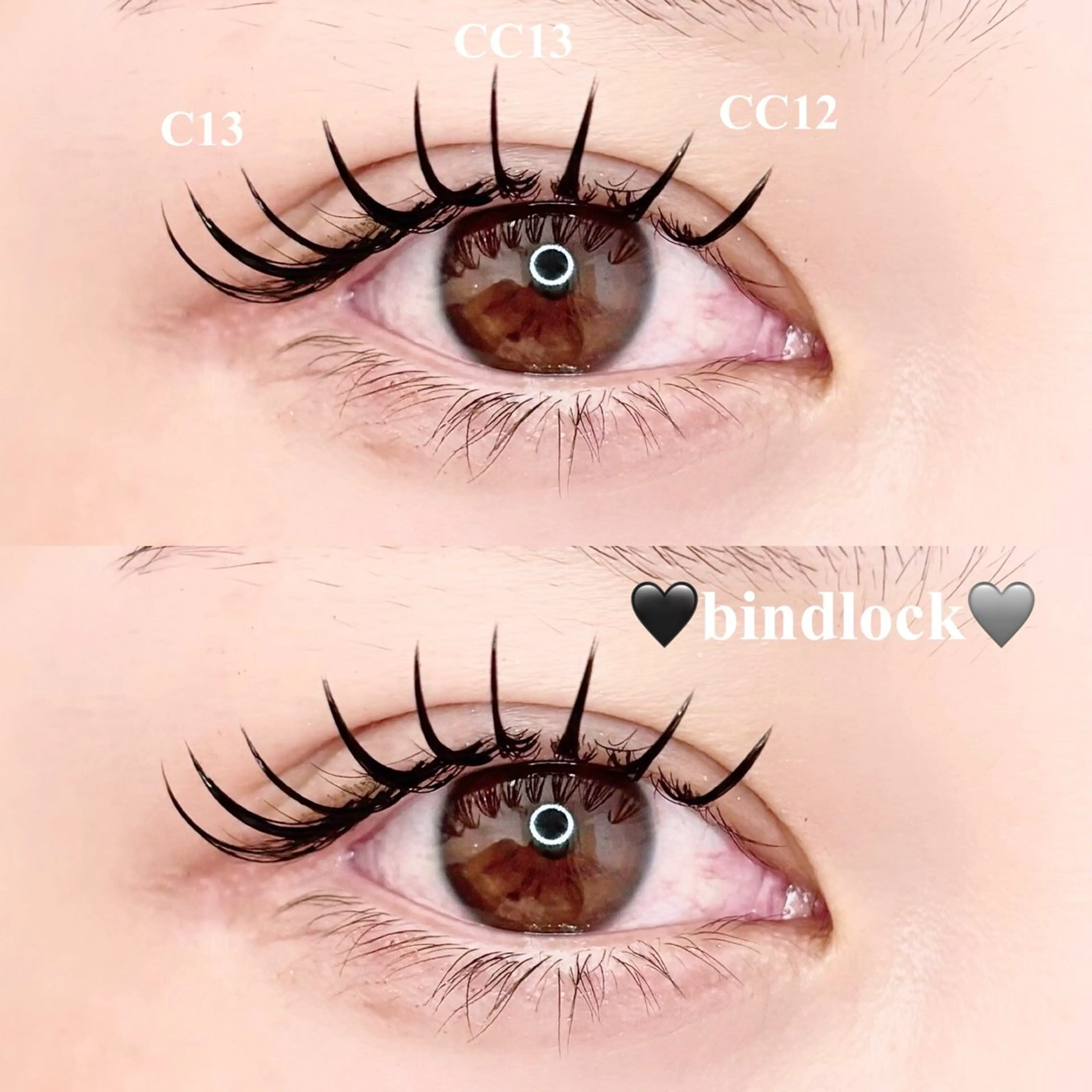 バインドロック🖤60​〜​80束の写真