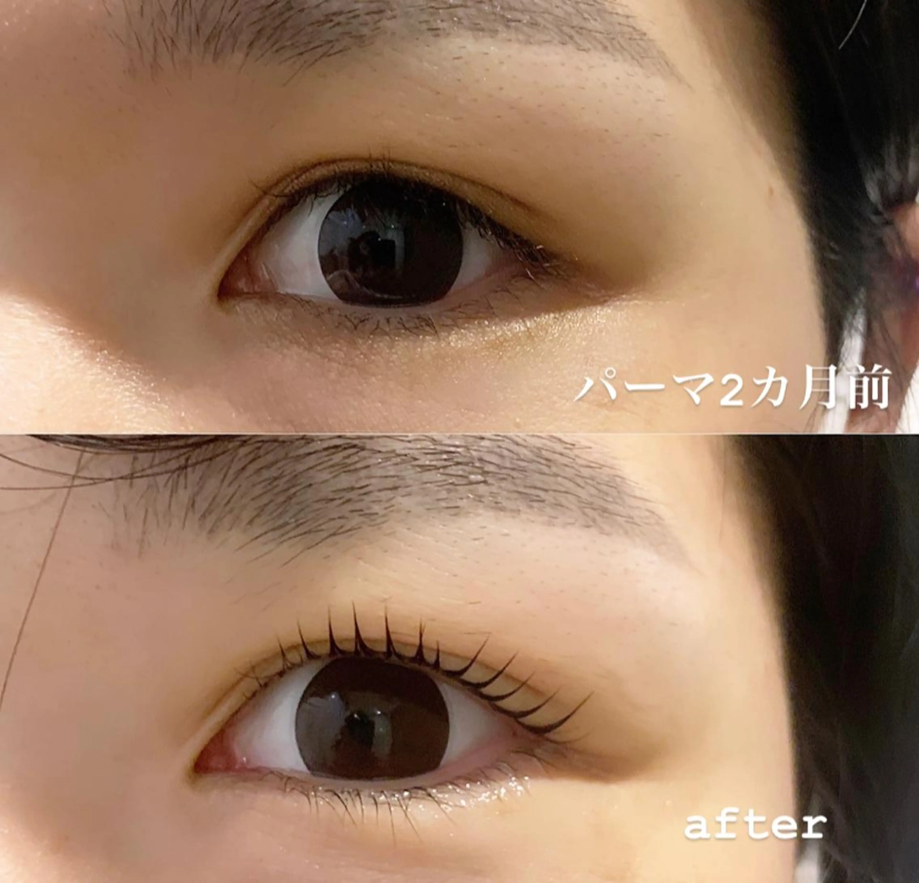 マツエク・マツパ H e l l a所属・まつげパーマ／眉毛 H e l l aの眉毛・アイブロウイメージ