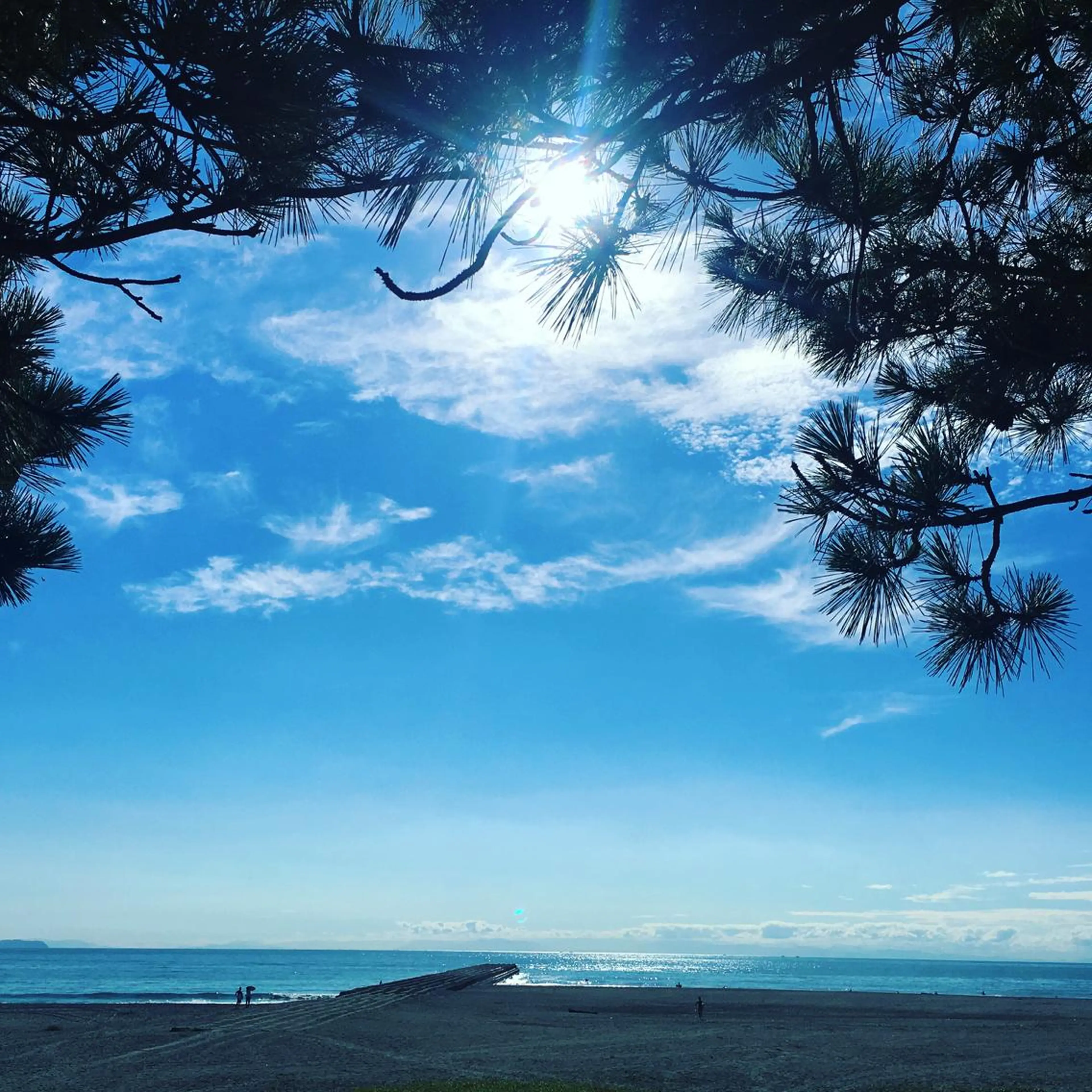 小濱 秀人のヘアスタイル