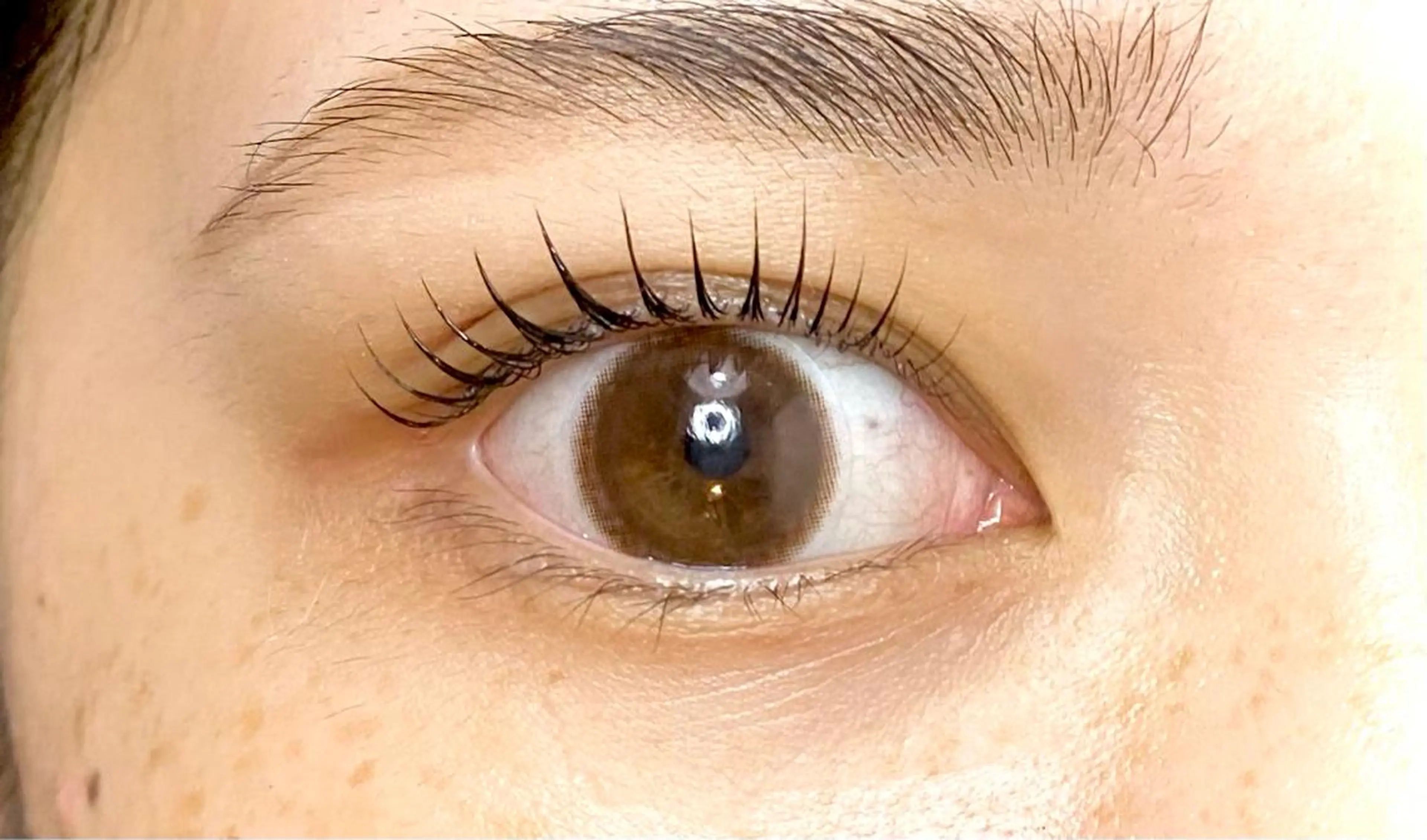 マツエク・マツパ Chisato🤍池 袋/マツパ/マツエクのマツエク・マツパデザイン